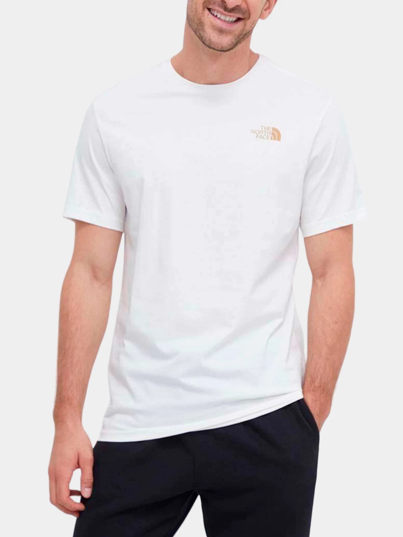 Футболки и поло The North Face модель NF0A84Y8N3N1