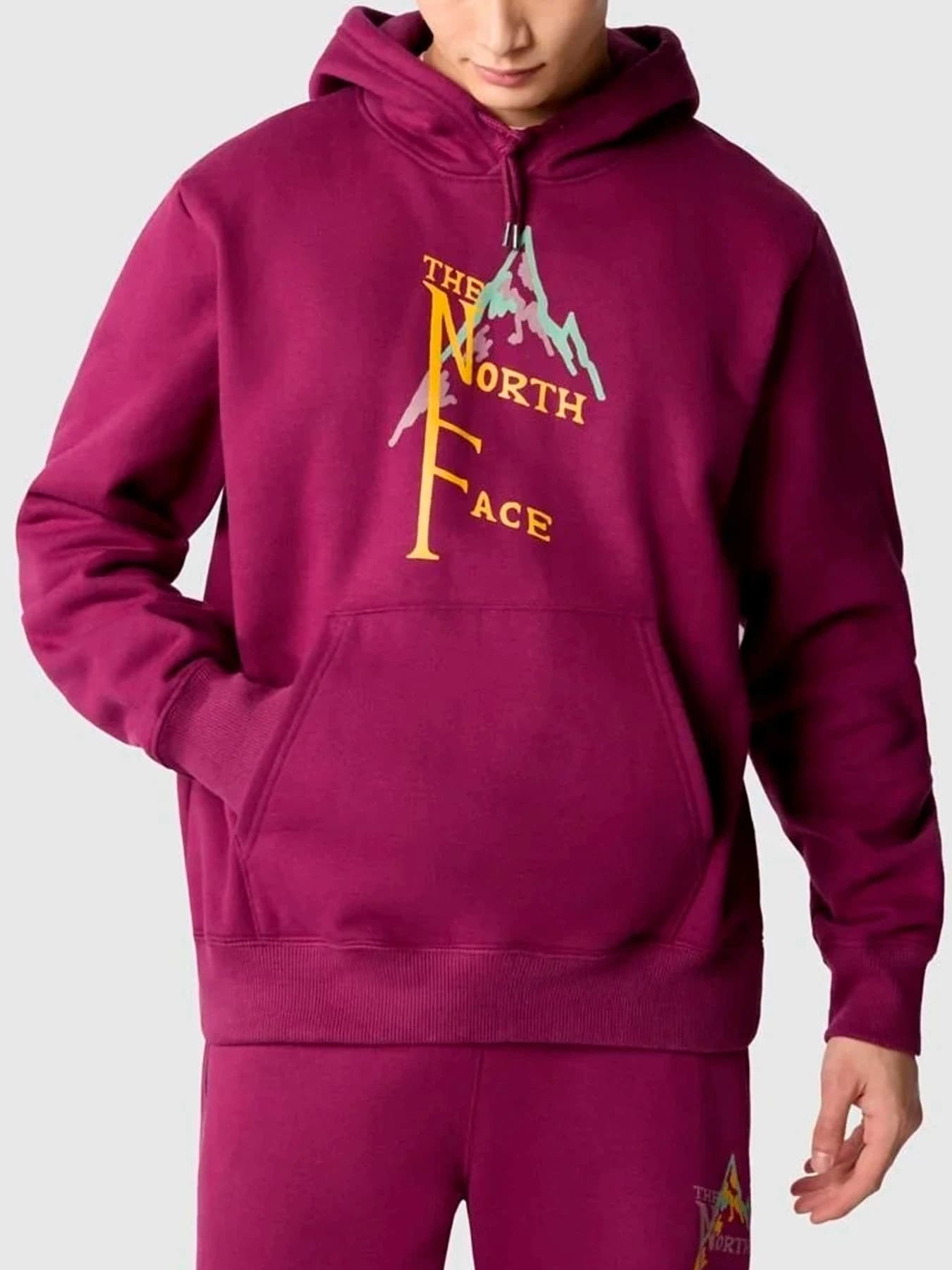 Худи и свитшоты The North Face модель NF0A84GKLI71