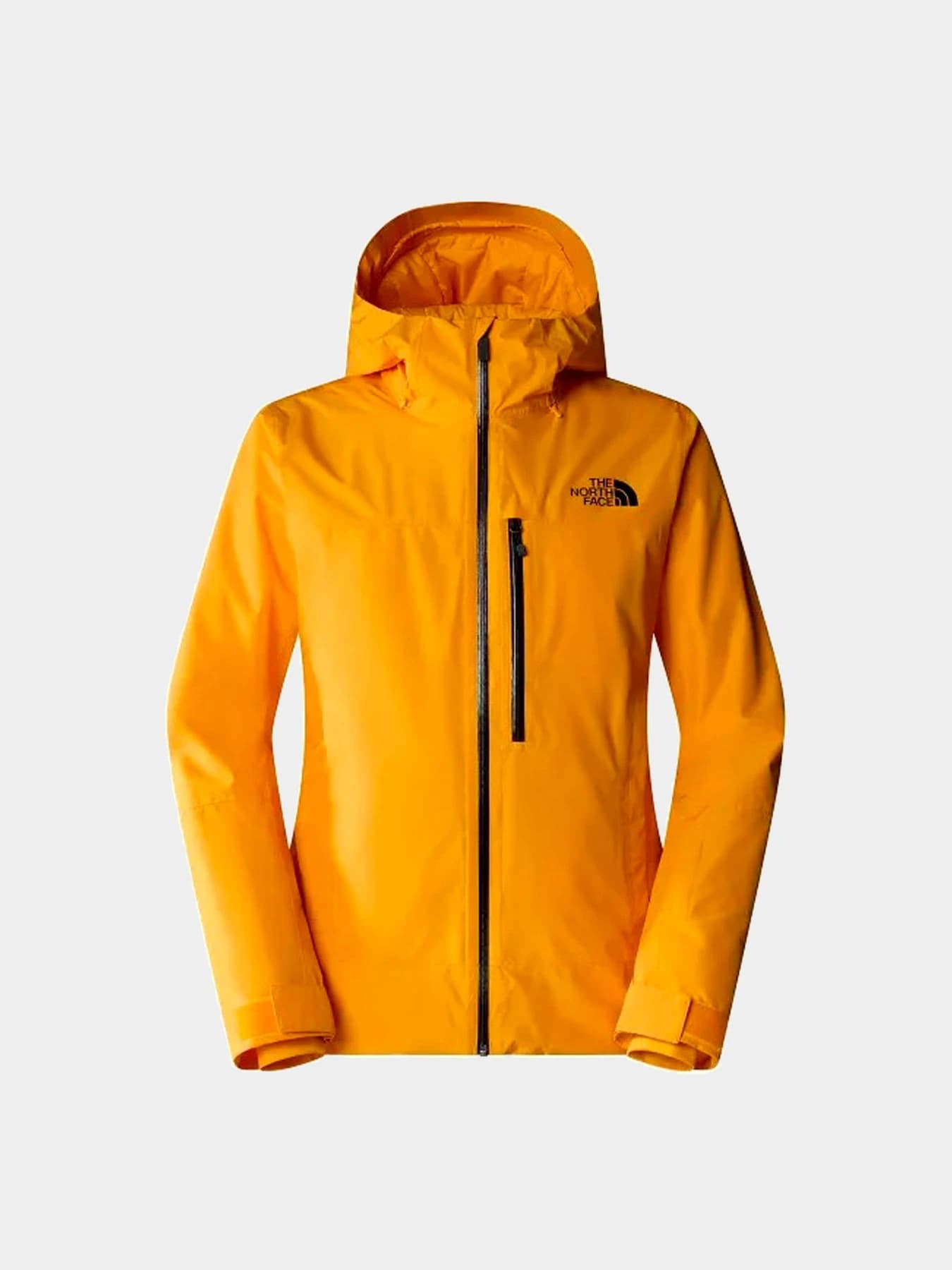 Куртки и дубленки The North Face модель NF0A4QWW56P1
