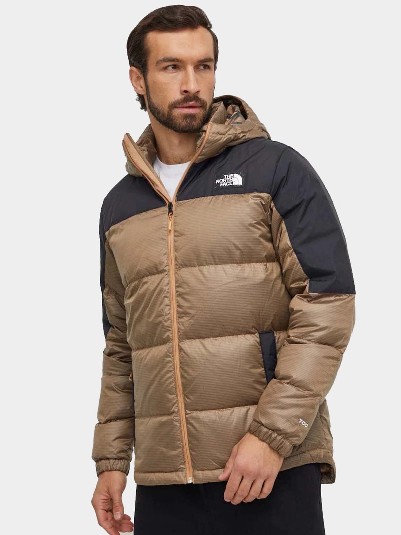 Куртки и дубленки The North Face модель NF0A7ZFQKOM1
