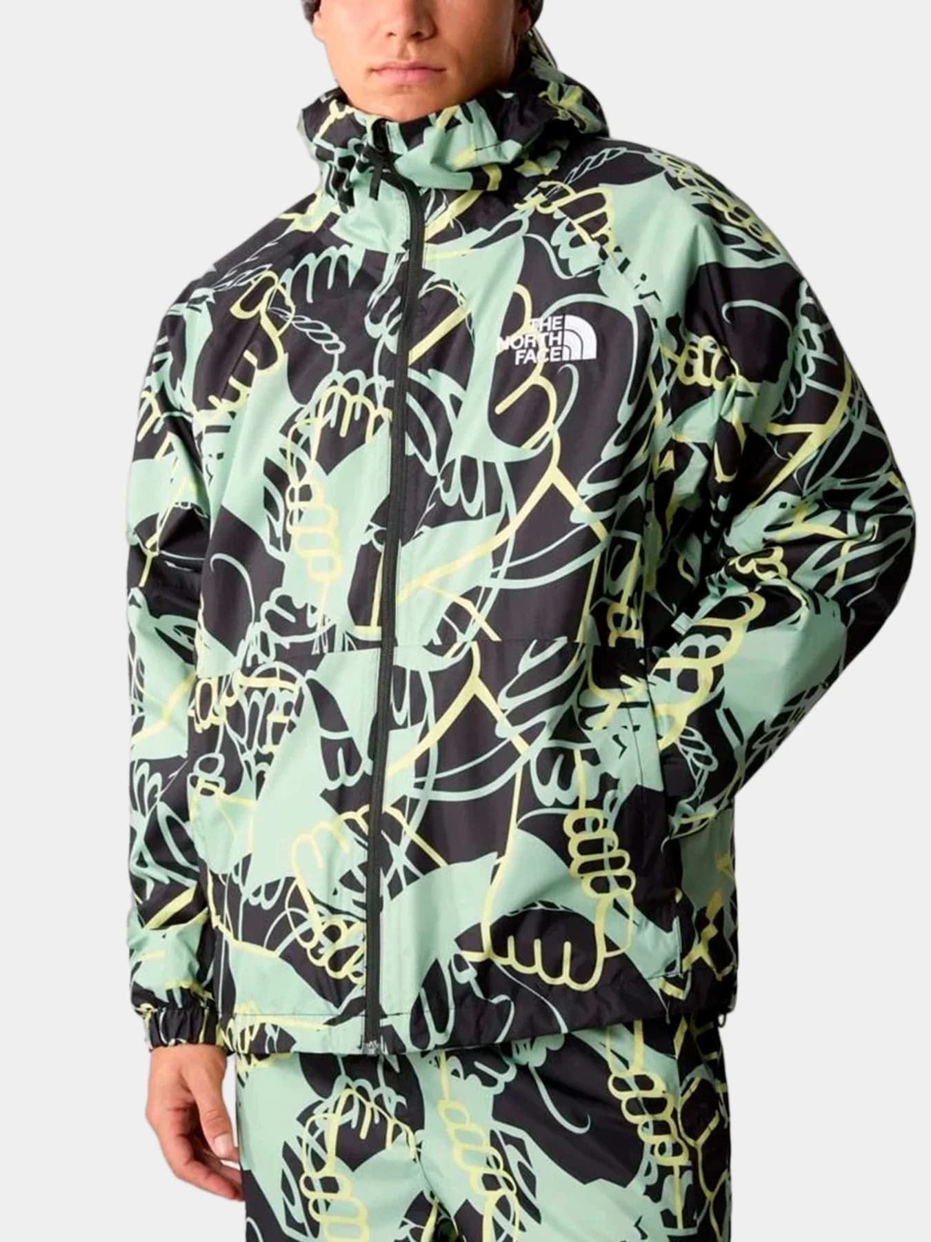 Куртки и дубленки The North Face модель NF0A82VMO3Y1
