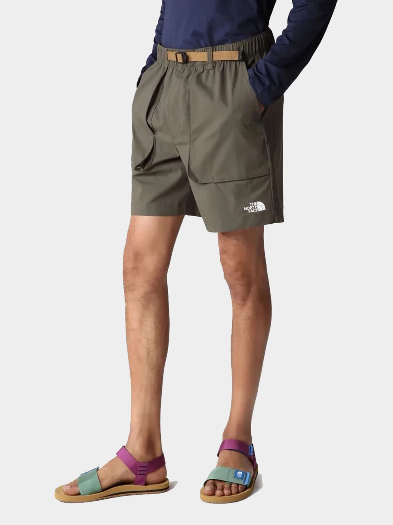 Шорты The North Face модель NF0A81WZ21L1