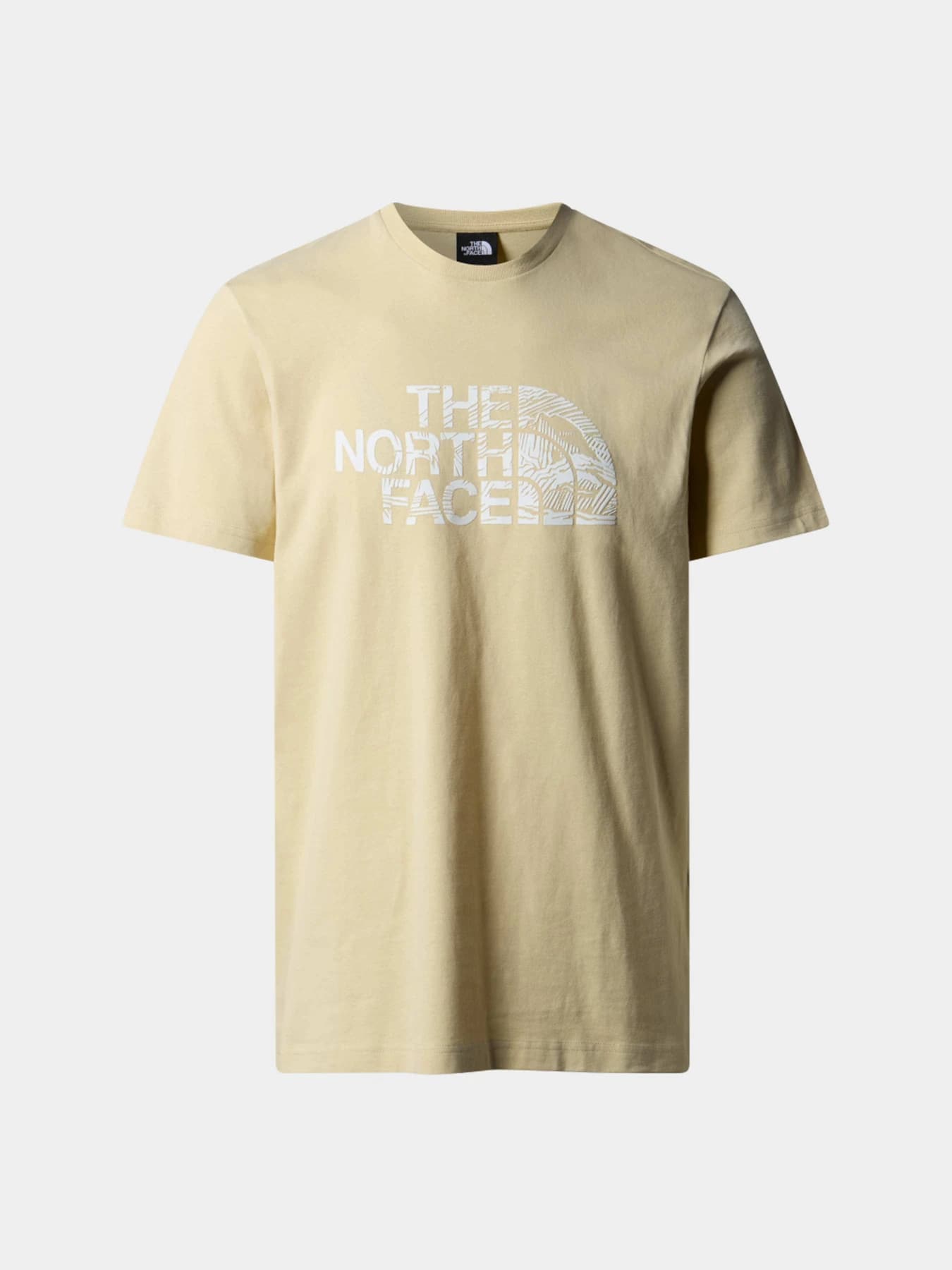 Футболки и поло The North Face модель NF0A87NX3X41