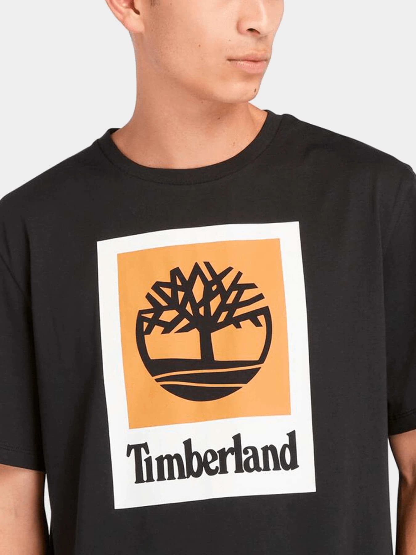 Футболки и поло Timberland модель TB0A5QS20011