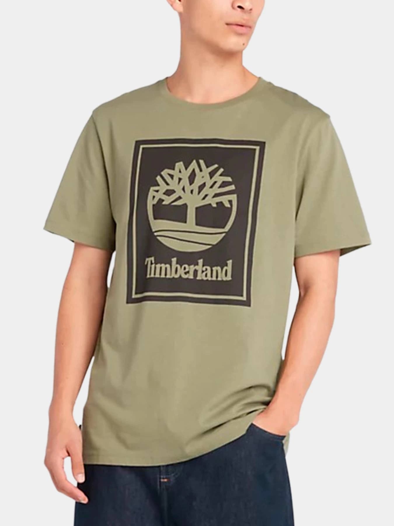 Футболки и поло Timberland модель TB0A5WQQCN81