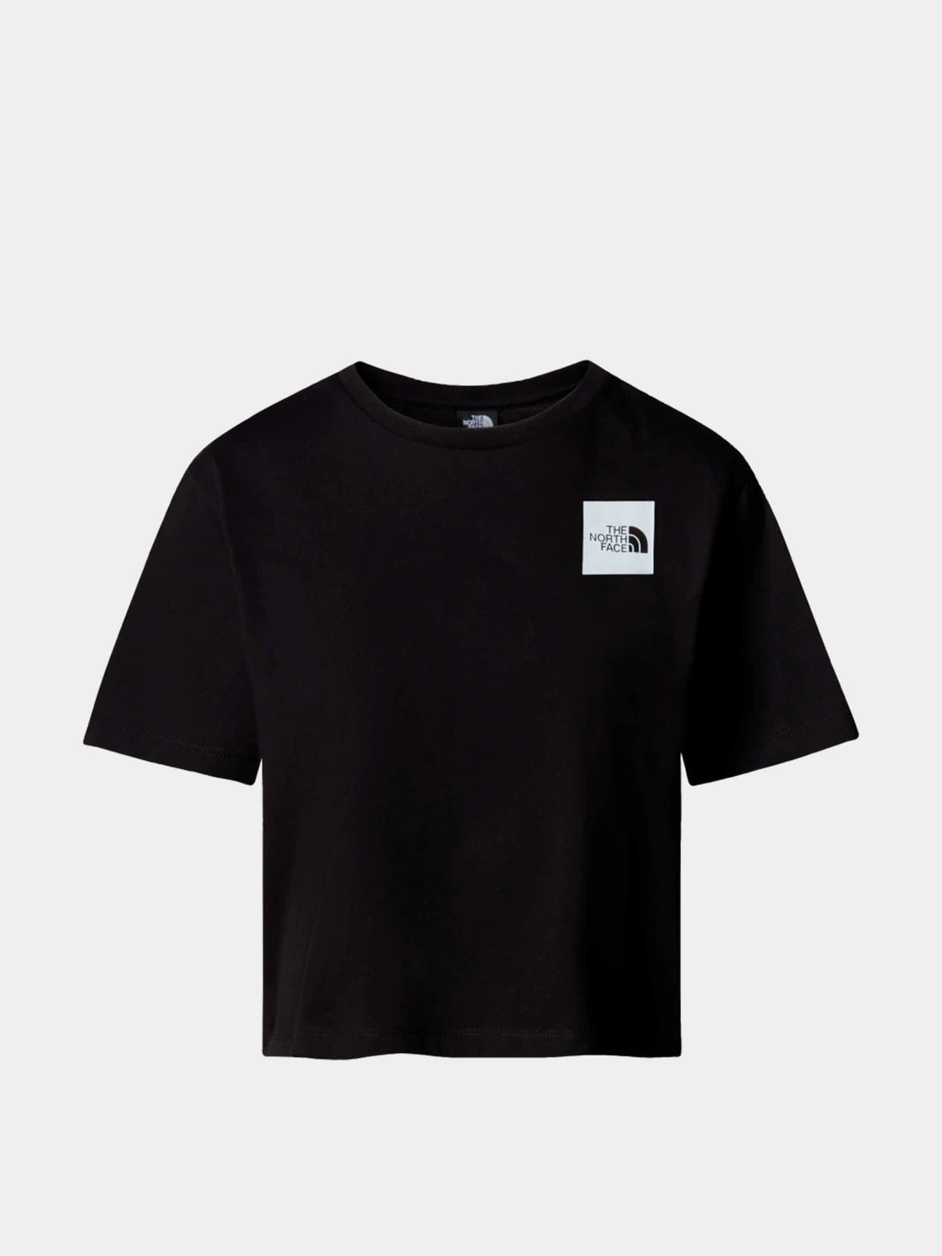 Футболки и поло The North Face модель NF0A87NBJK31