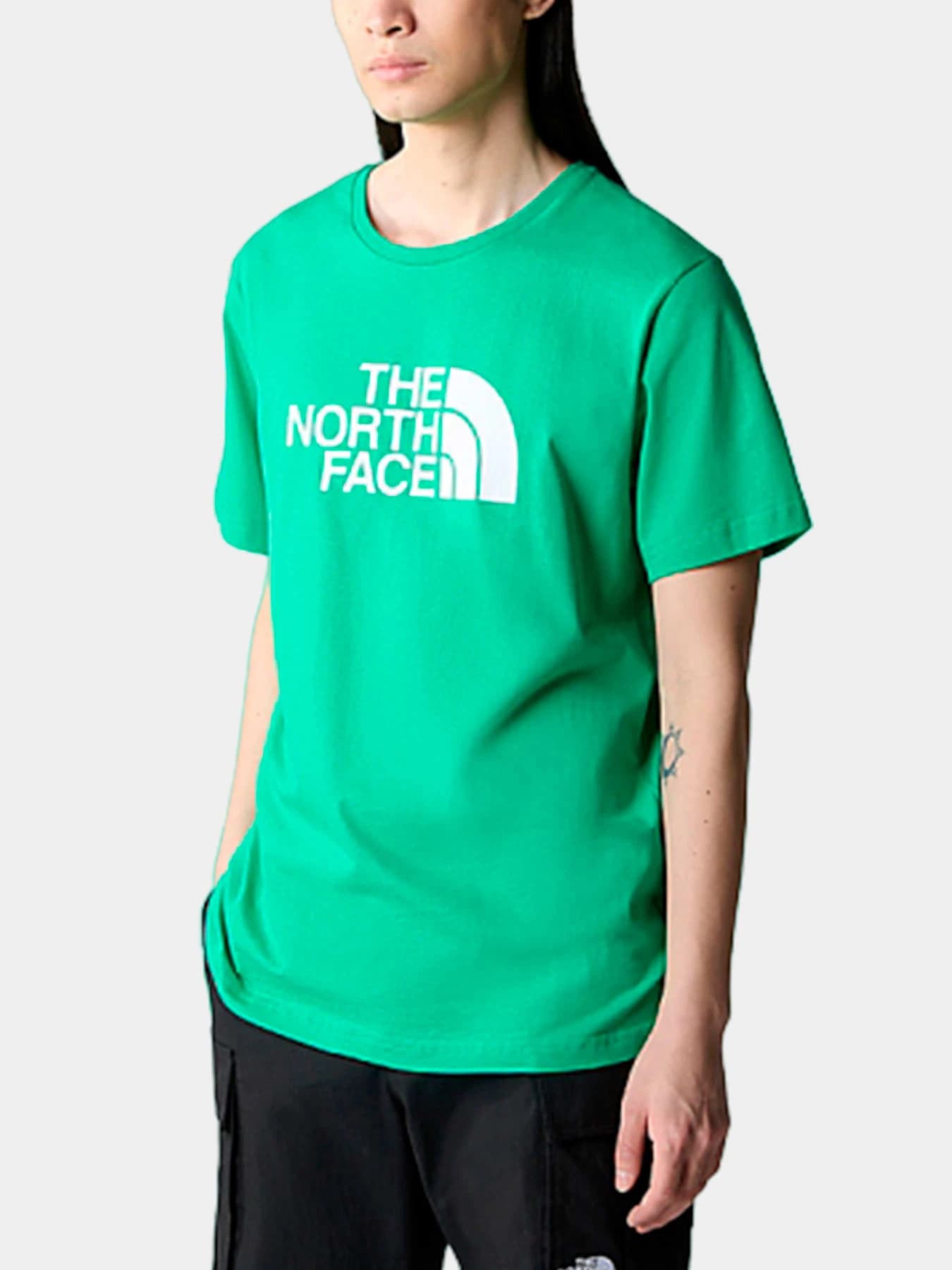 Футболки и поло The North Face модель NF0A87N5PO81