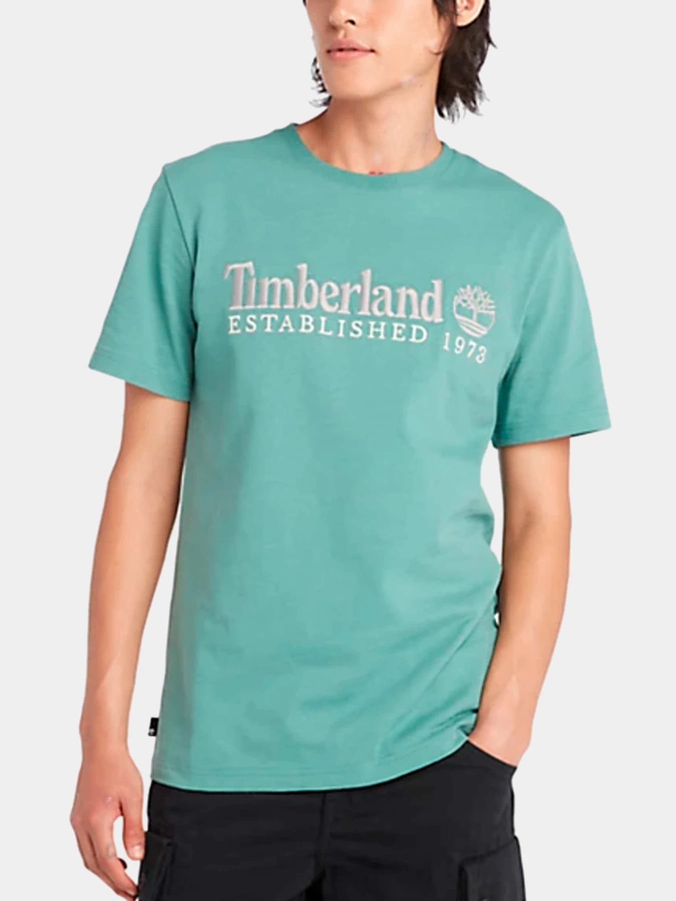 Футболки и поло Timberland модель TB0A6SE1CL61