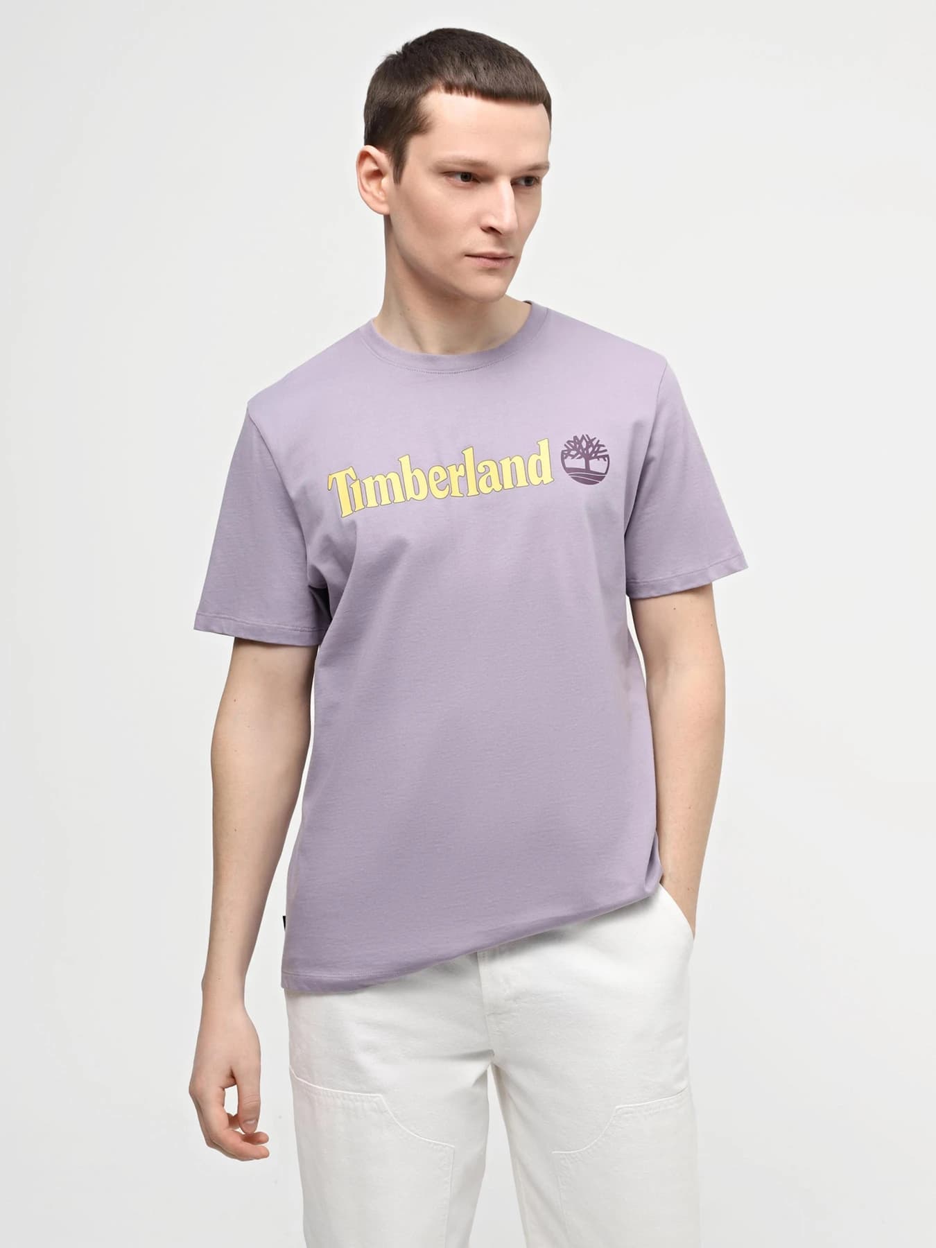 Футболки и поло Timberland модель TB0A5UPQEG71