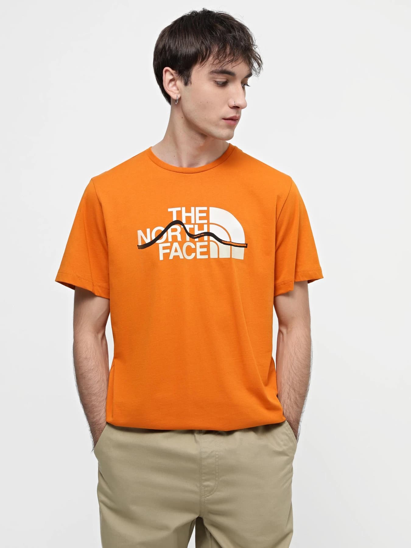 Футболки и поло The North Face модель NF0A87NTPCO1