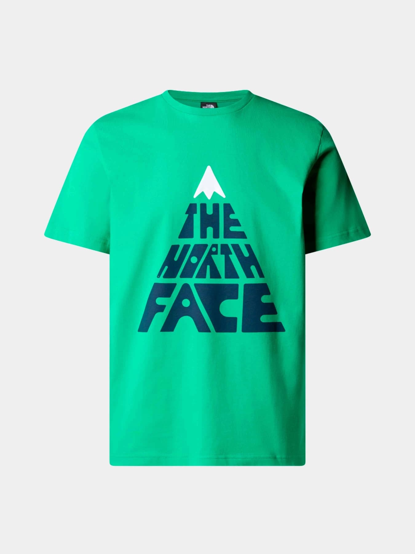 Футболки и поло The North Face модель NF0A87ENPO81
