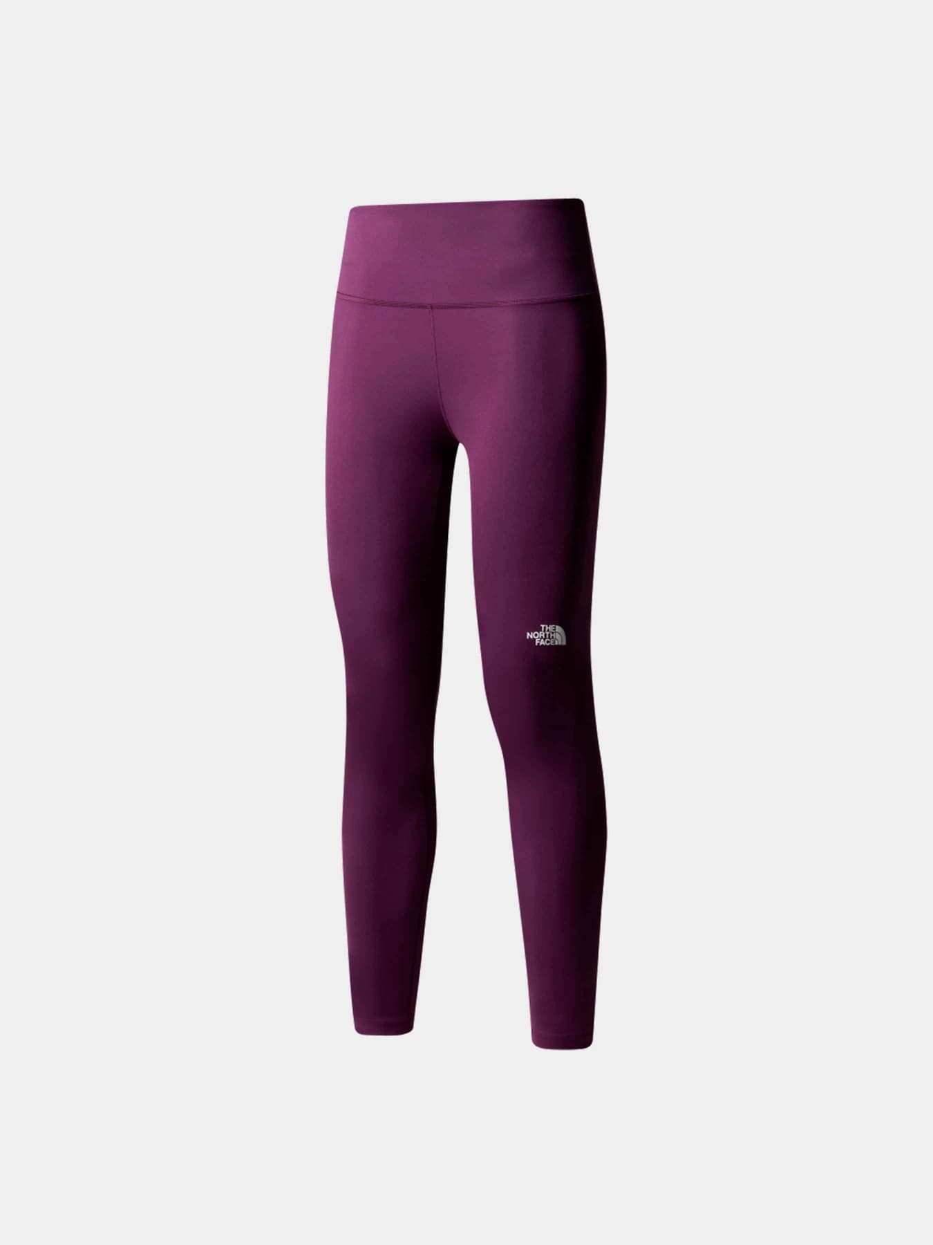 Брюки The North Face модель NF0A87JQV6V1