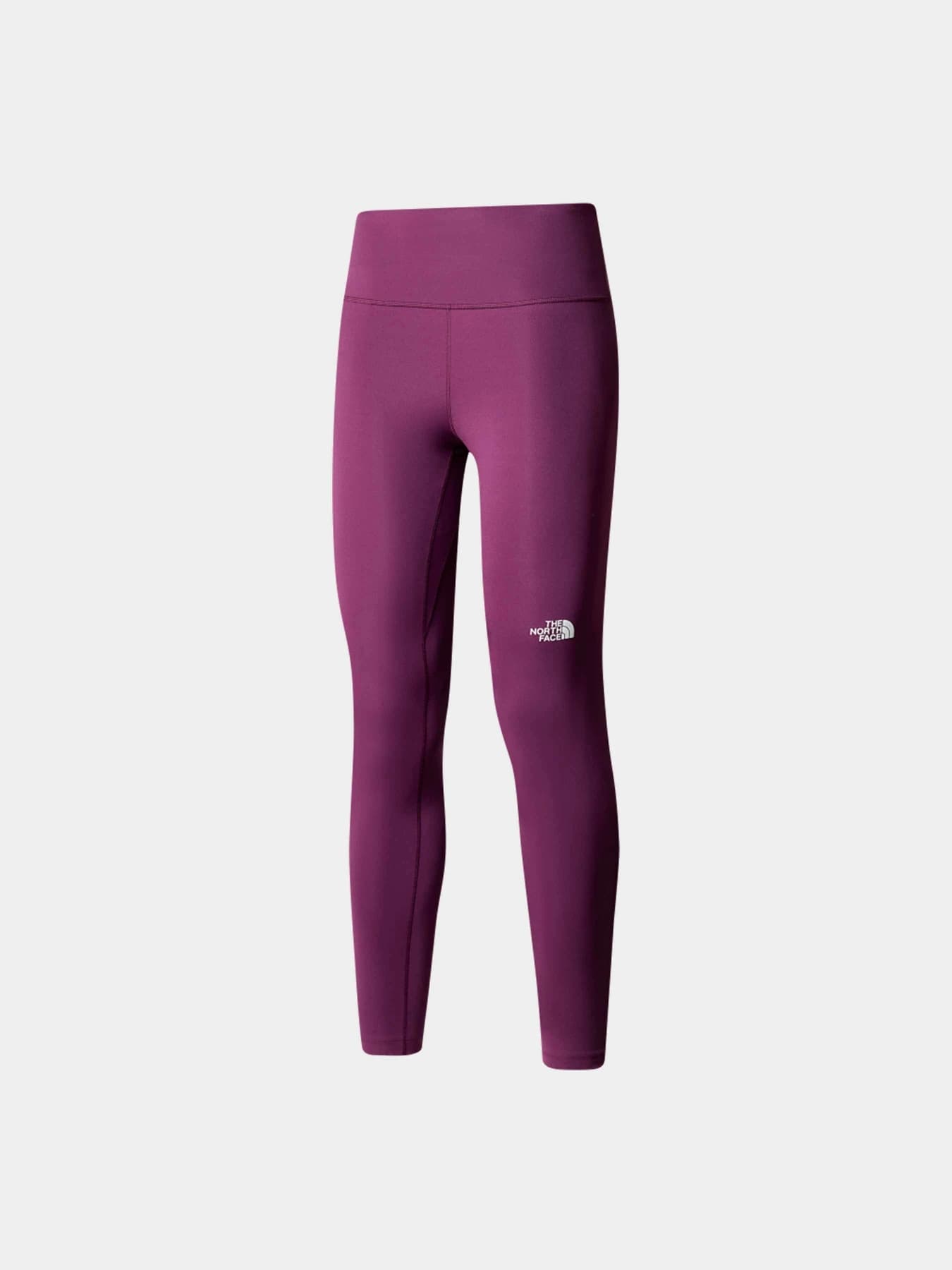 Брюки The North Face модель NF0A87JSV6V1