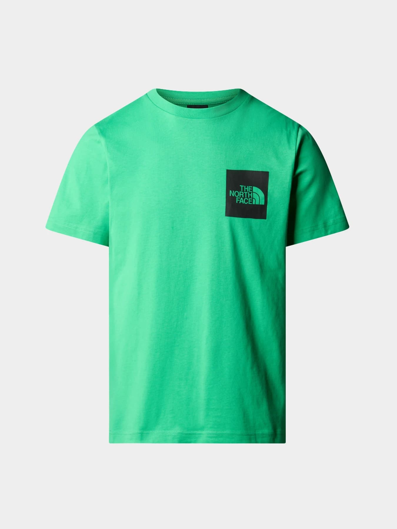Футболки и поло The North Face модель NF0A87NDPO81
