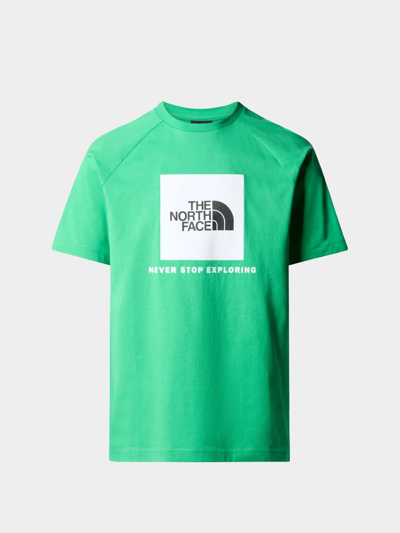 Футболки и поло The North Face модель NF0A87NJPO81