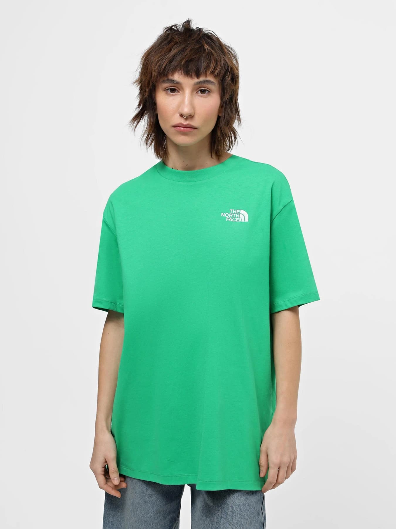Футболки и поло The North Face модель NF0A87NQPO81