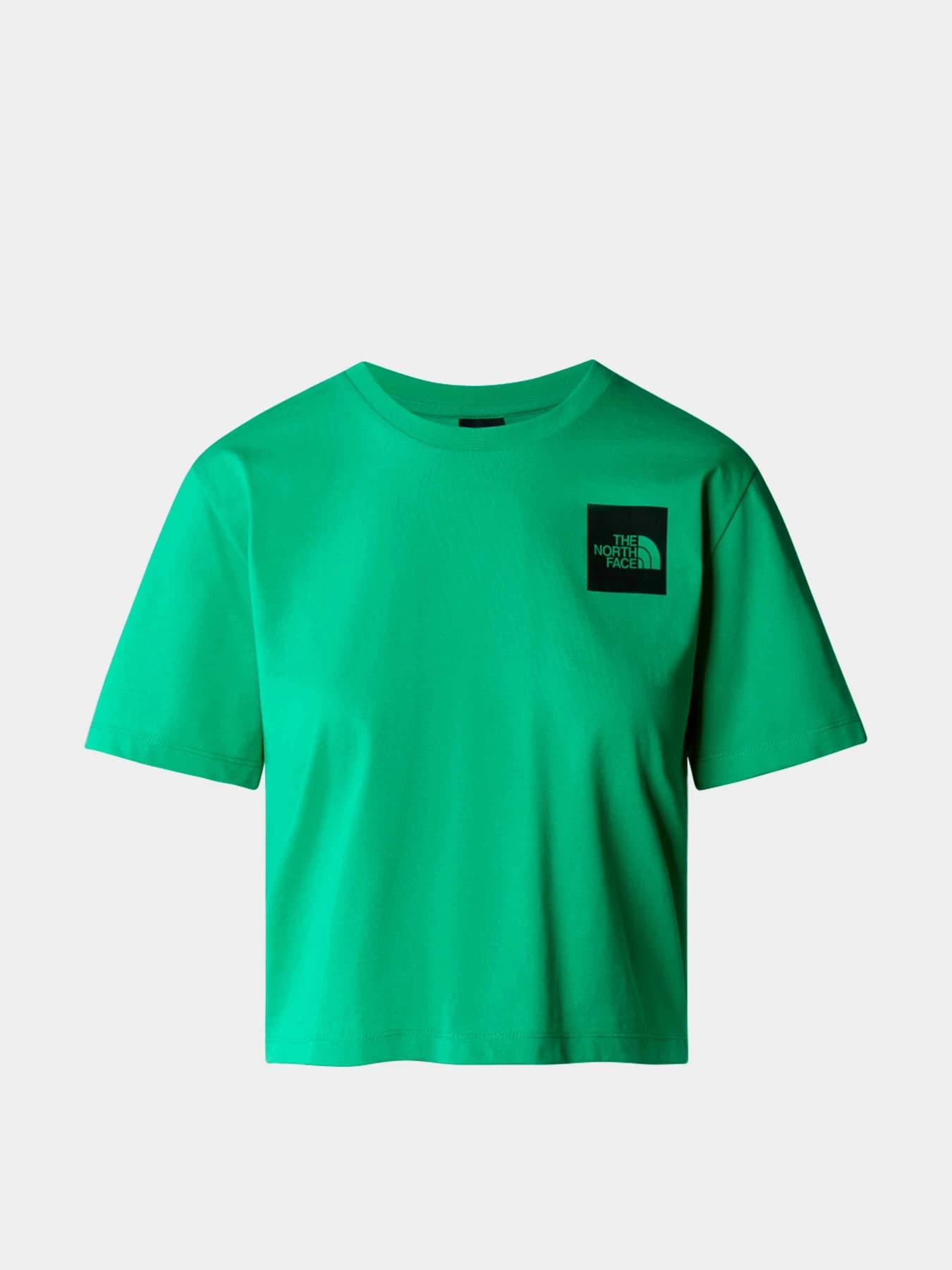 Футболки и поло The North Face модель NF0A87NBPO81