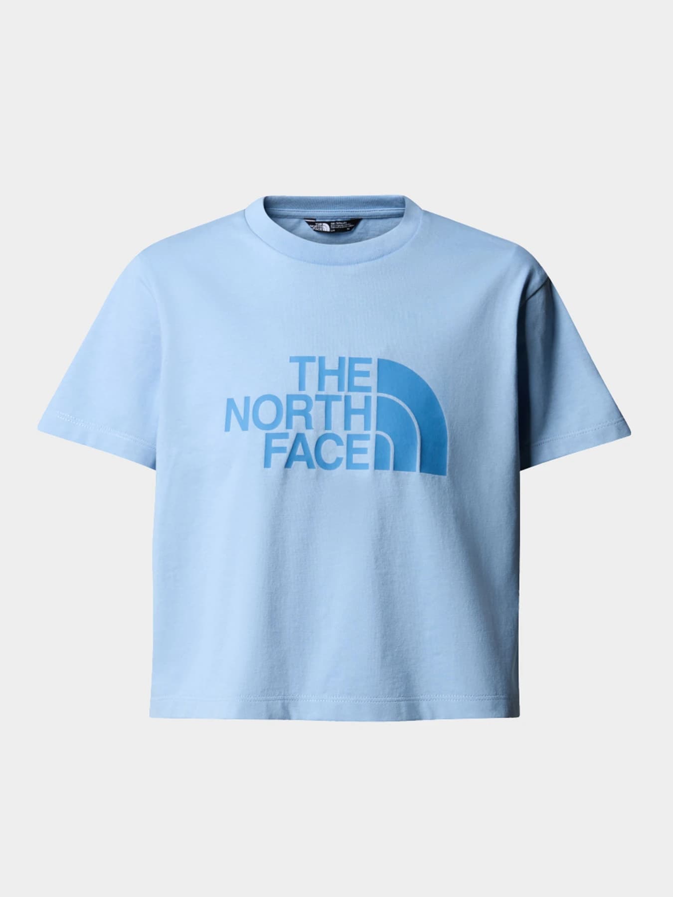 Футболки и поло The North Face модель NF0A87T7QEO1