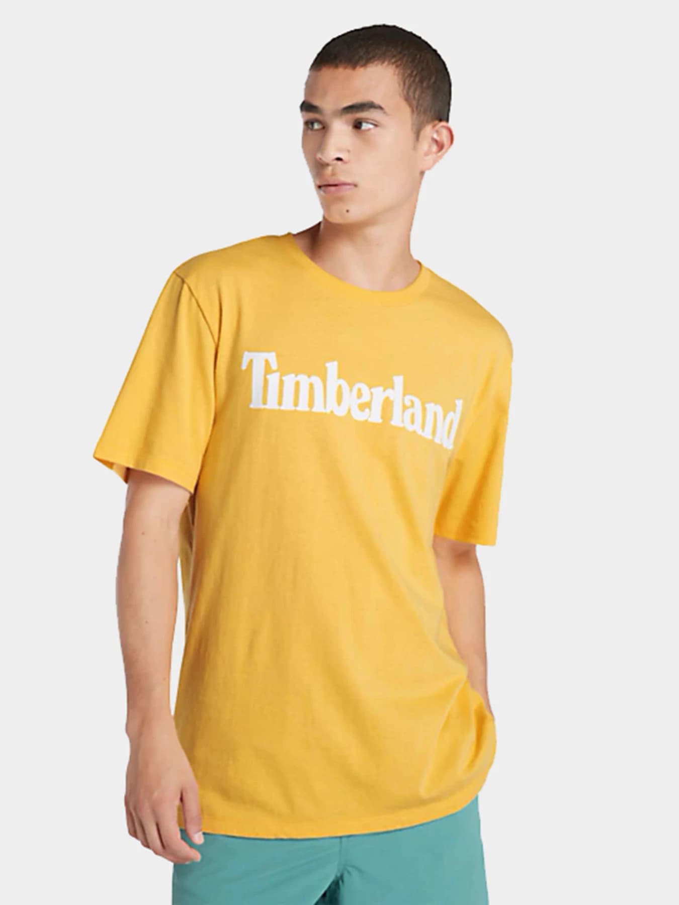 Футболки и поло Timberland модель TB0A2BRNEG41
