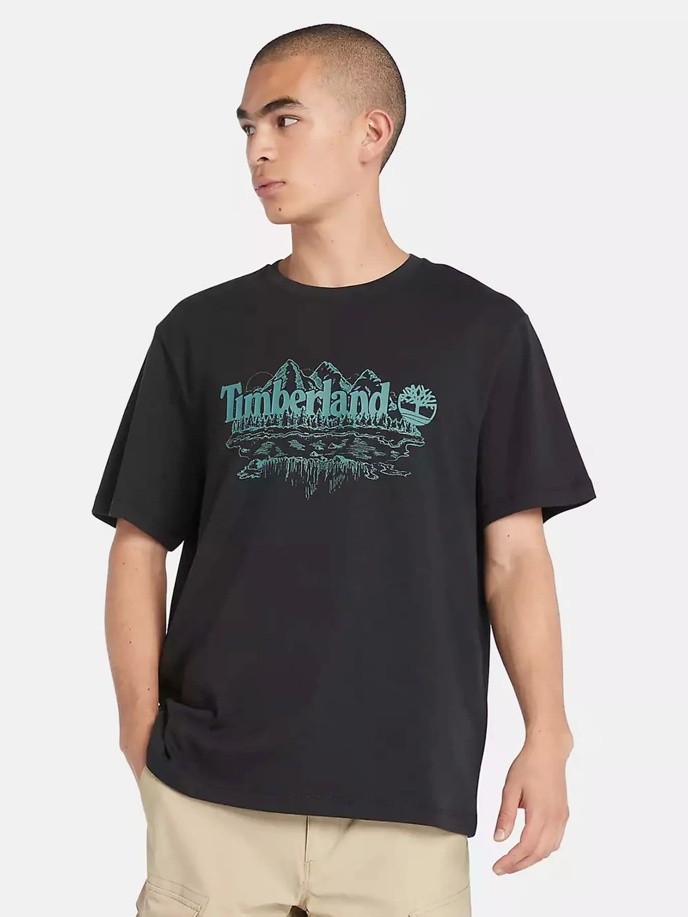 Футболки и поло Timberland модель TB0A5UFU0011