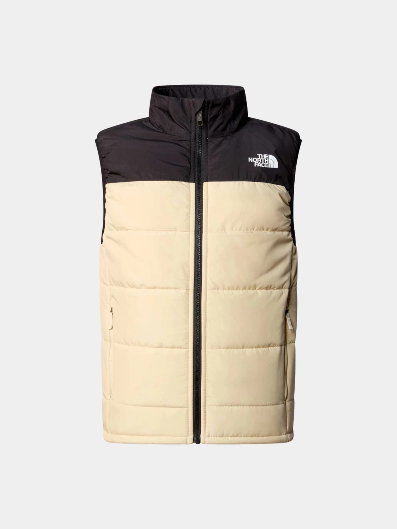 Куртки и дубленки The North Face модель NF0A89PG4D51