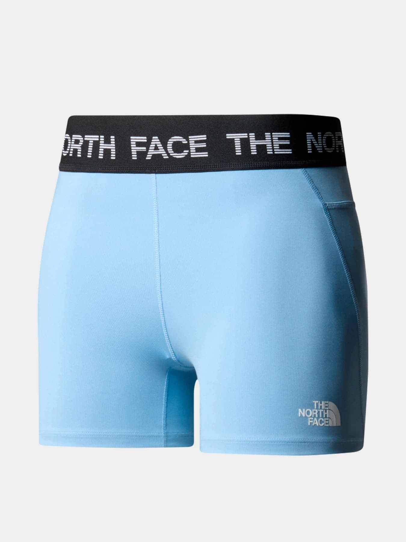 Шорты The North Face модель NF0A87JZQEO1