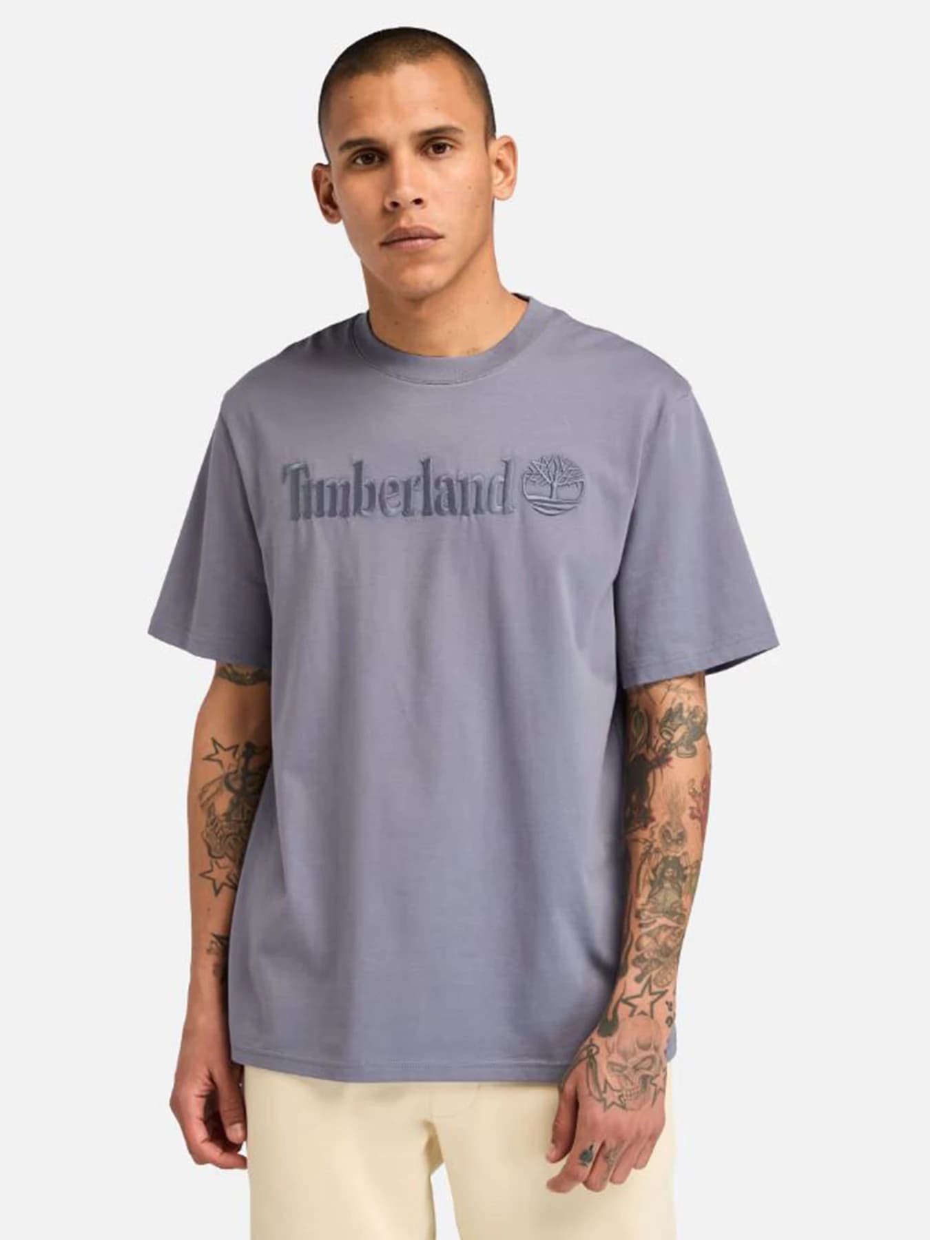 Футболки и поло Timberland модель TB0A6VPE073