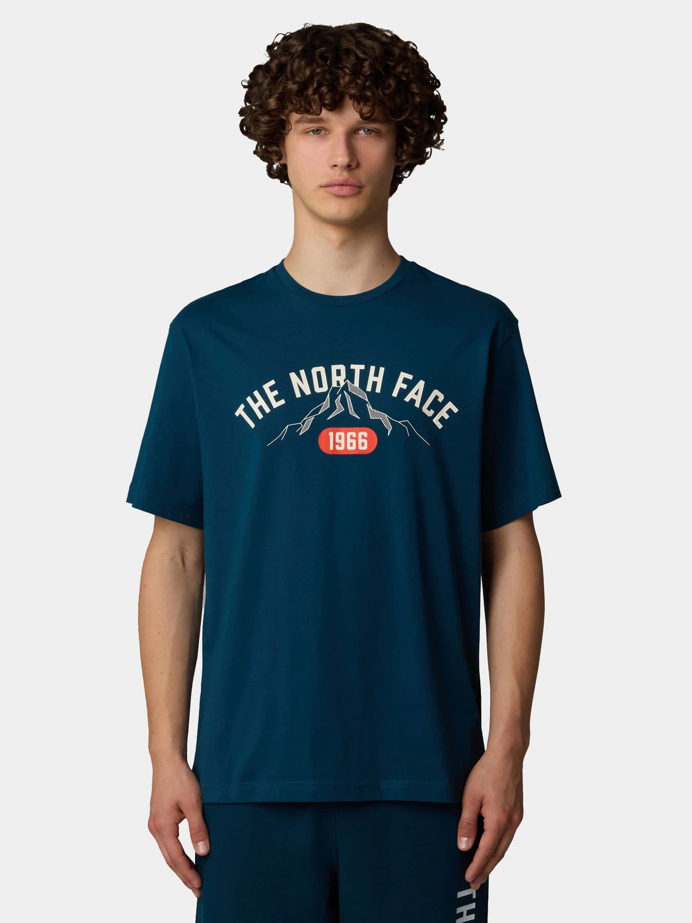 Футболки и поло The North Face модель NF0A89DG1NO1