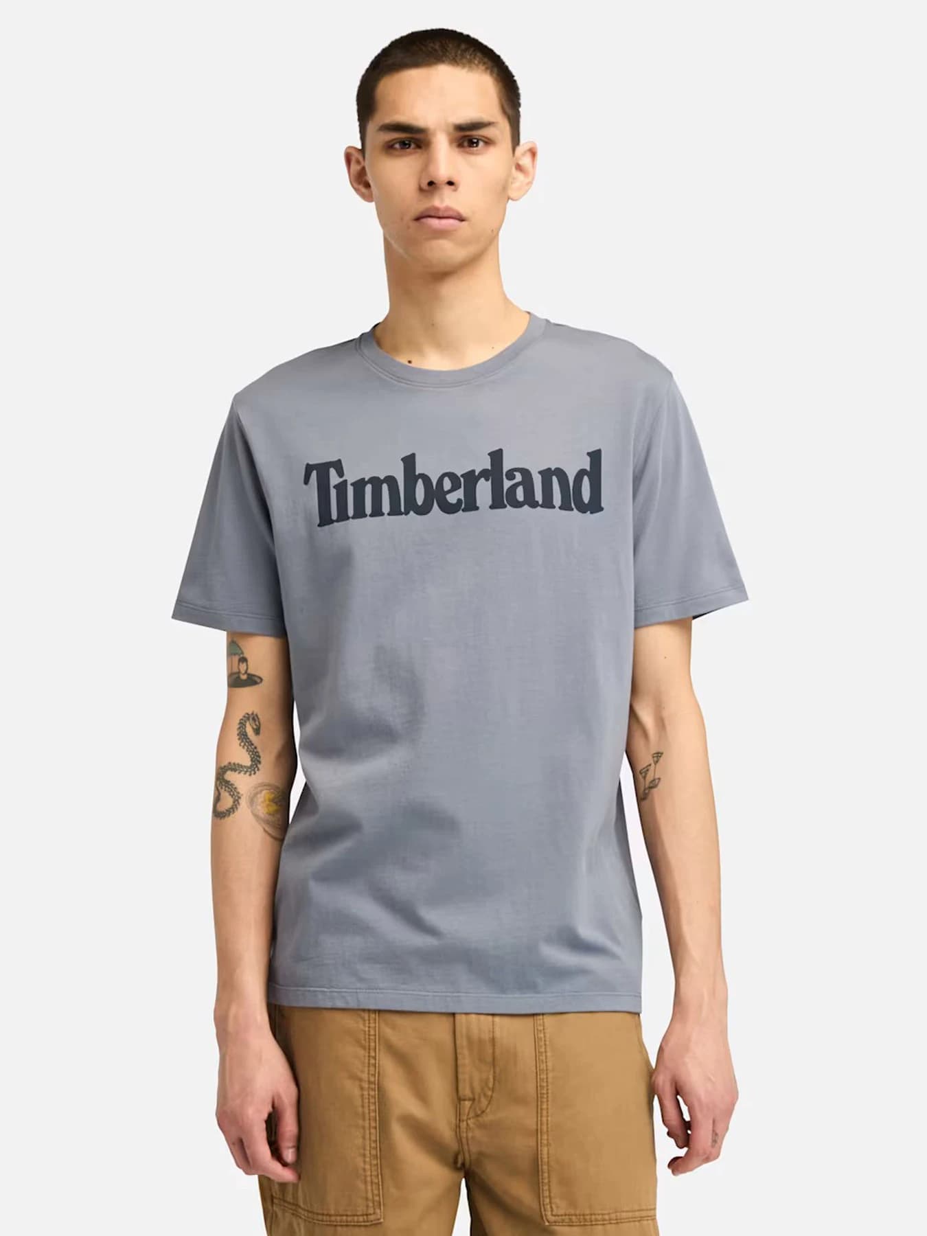 Футболки и поло Timberland модель TB0A2BRN073