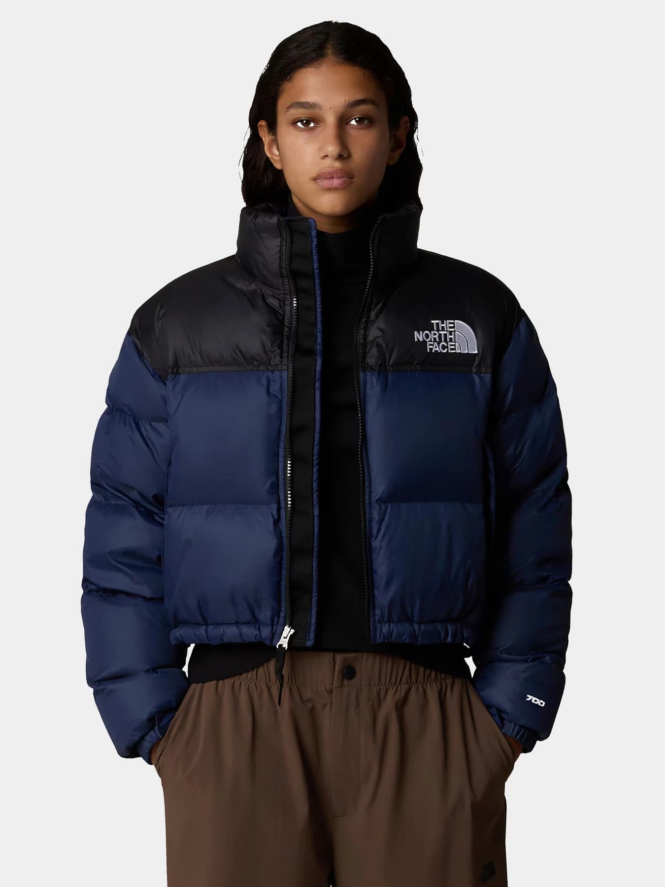 Куртки и дубленки The North Face модель NF0A5GGE92A1