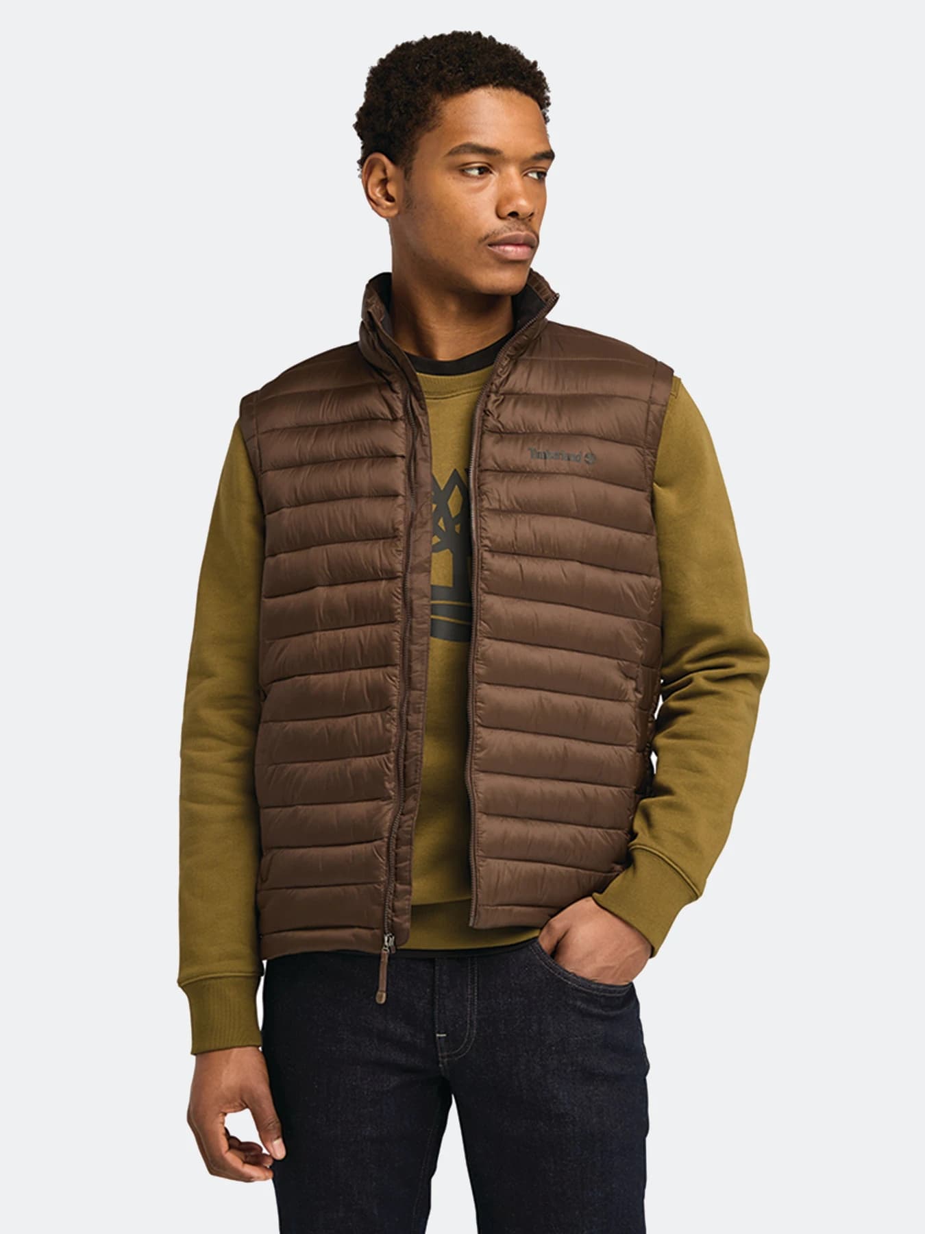Куртки и дубленки Timberland модель TB0A5WPF243
