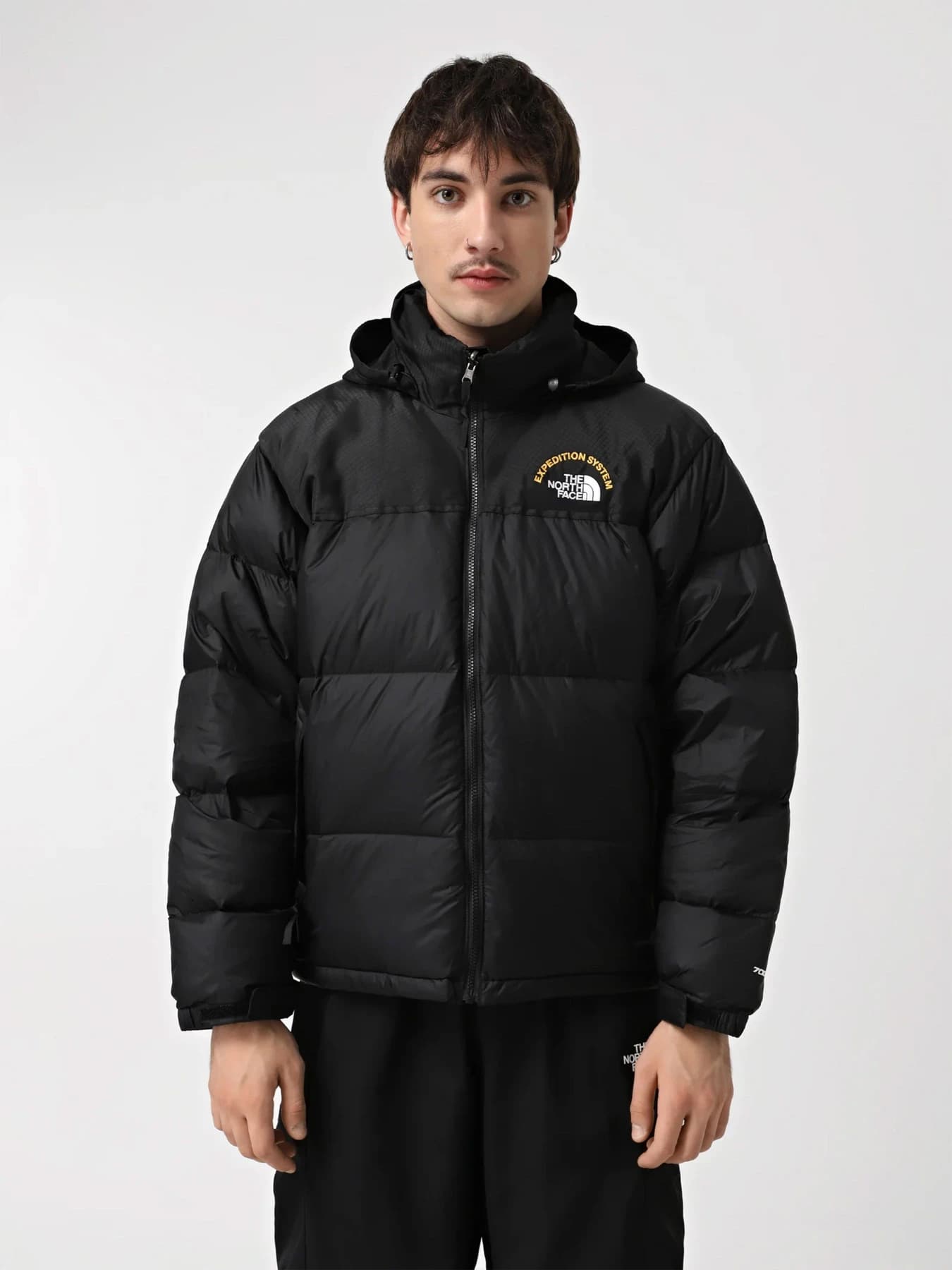 Куртки и дубленки The North Face модель NF0A3C8DKX71