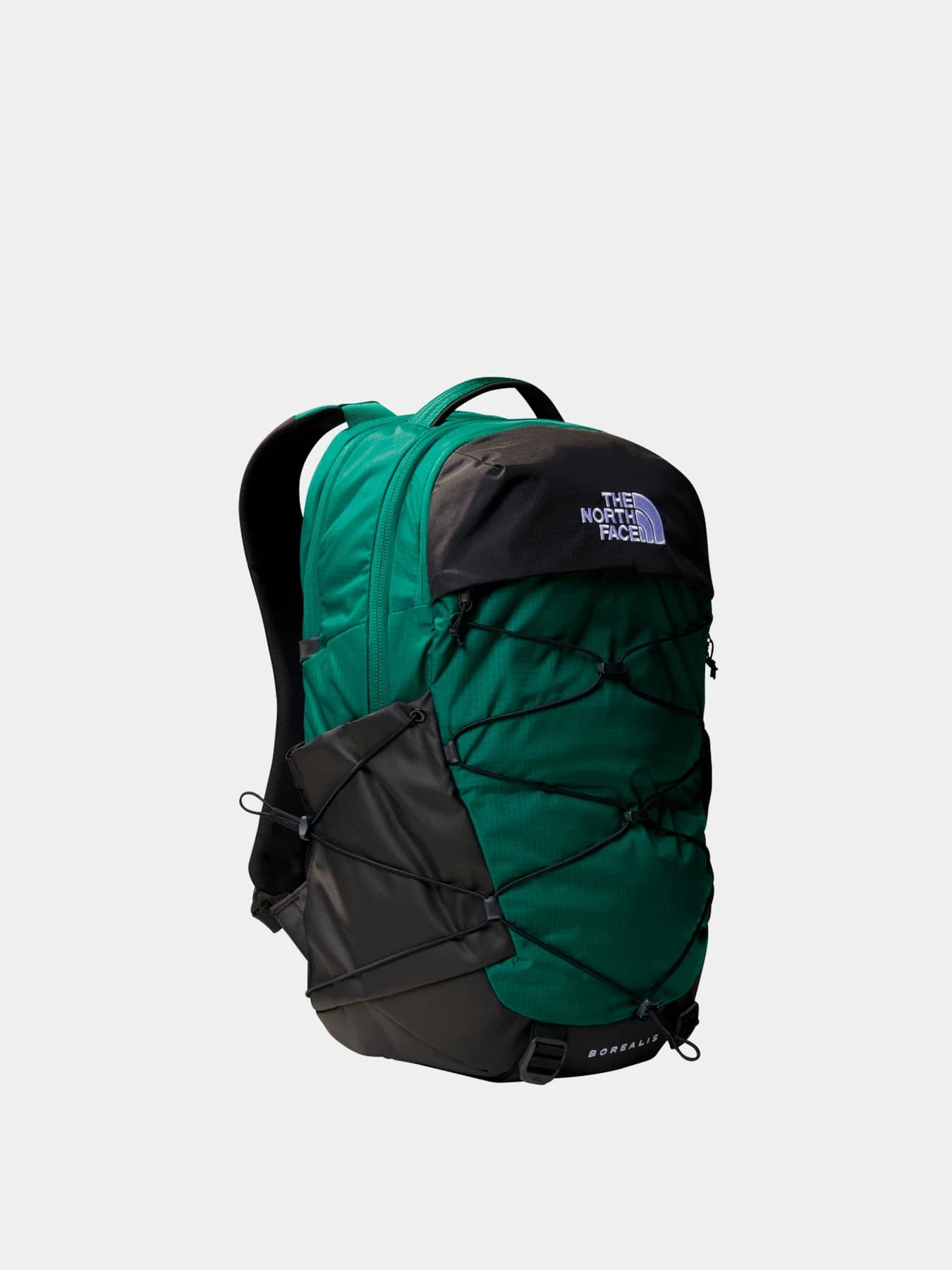 Рюкзаки The North Face модель NF0A52SES9W1