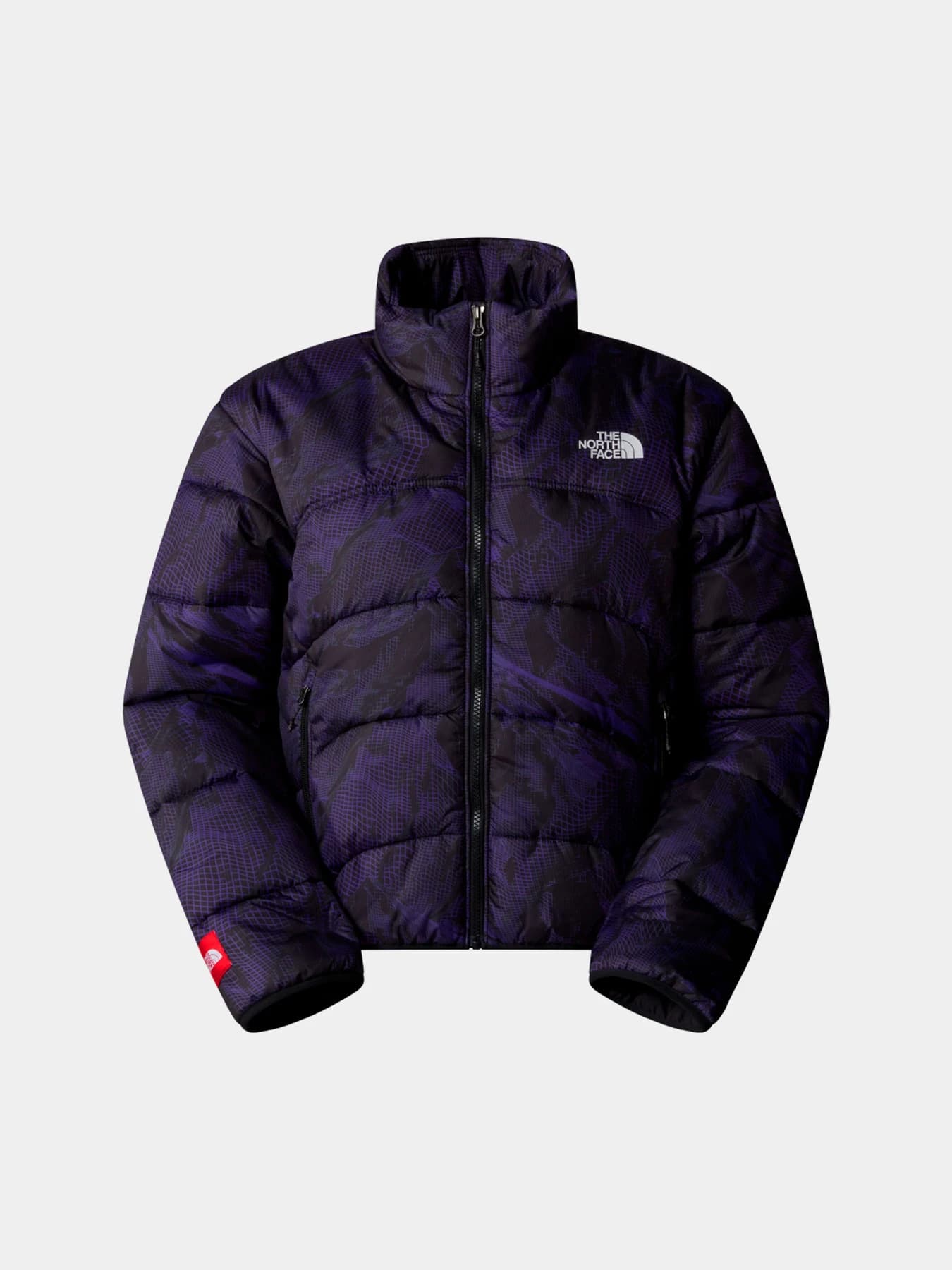 Куртки и дубленки The North Face модель NF0A7URF3VI1