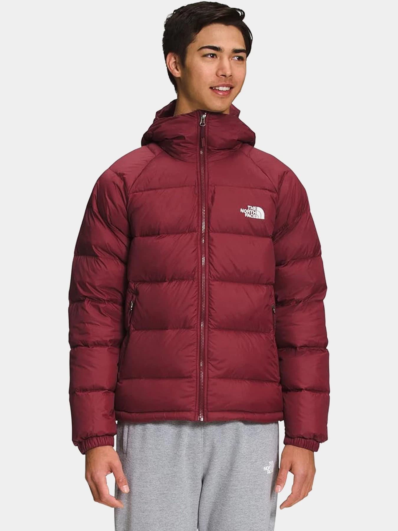 Куртки и дубленки The North Face модель NF0A5GIE1IX1