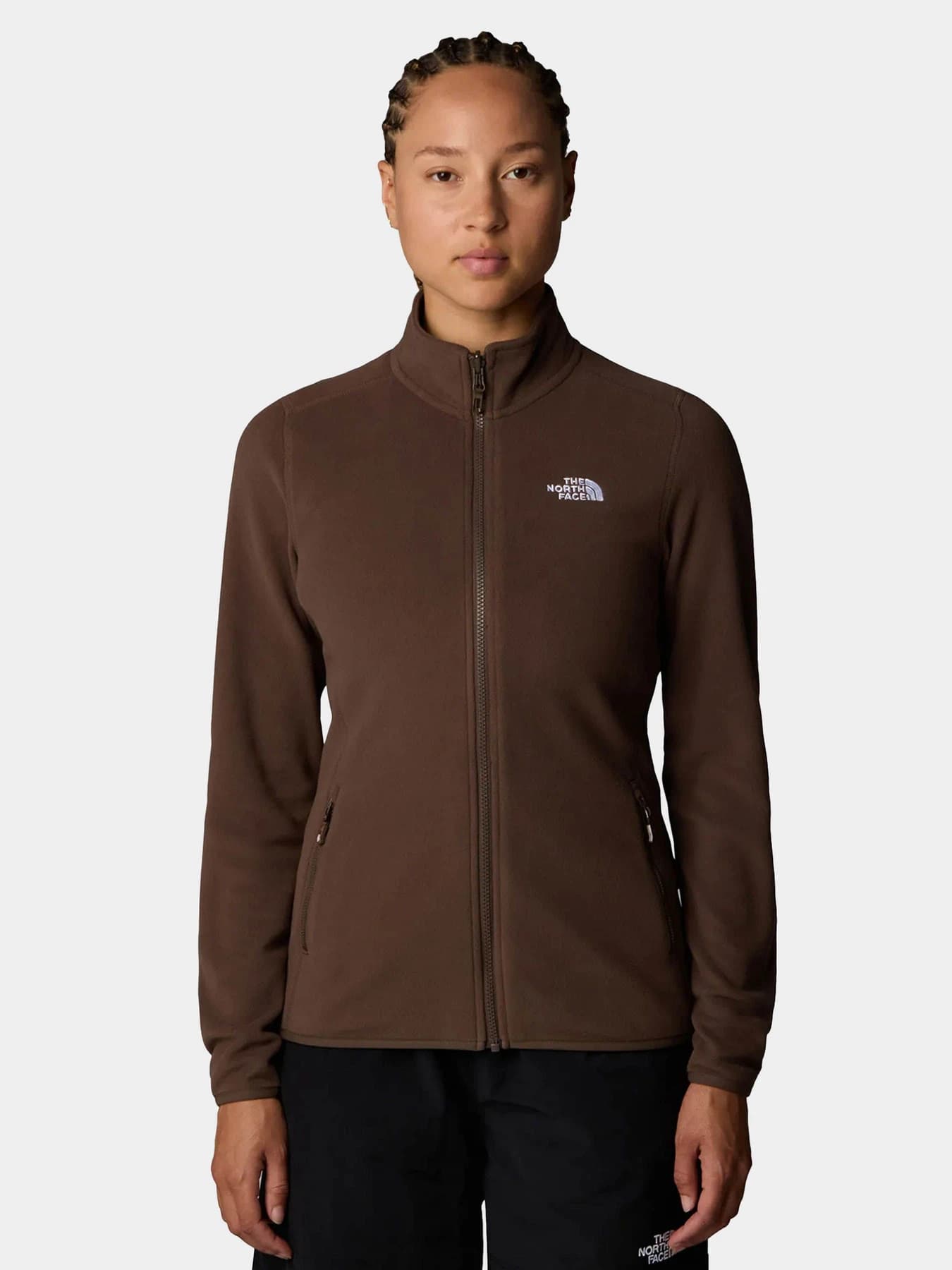 Худи и свитшоты The North Face модель NF0A855O1OI1