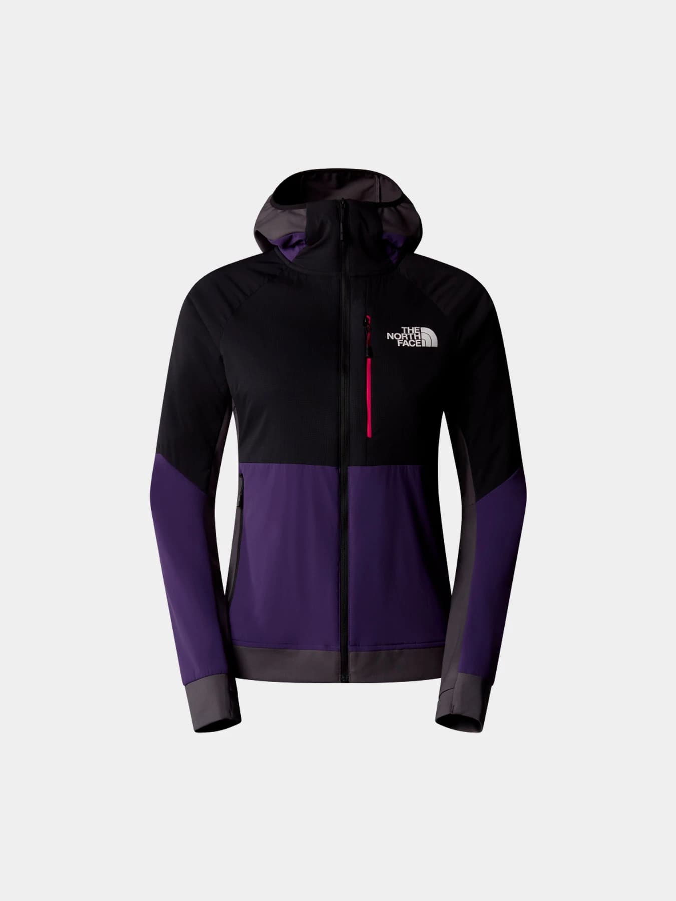Худи и свитшоты The North Face модель NF0A87HP0IF1