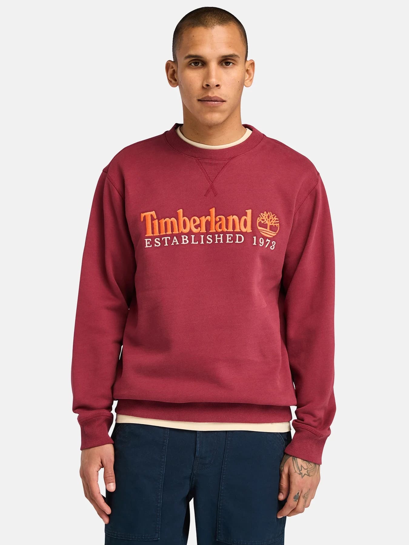Худи и свитшоты Timberland модель TB0A65DD600