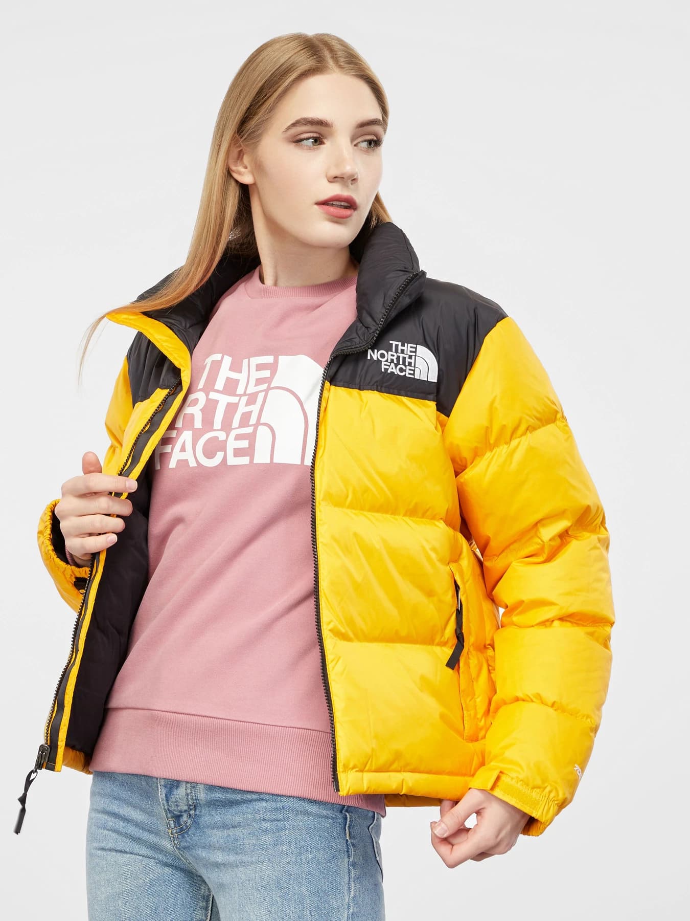 Куртки и дубленки The North Face модель NF0A3XEO56P1