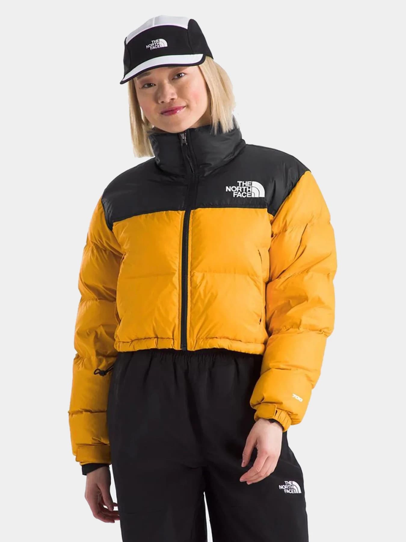 Куртки и дубленки The North Face модель NF0A5GGEZU31
