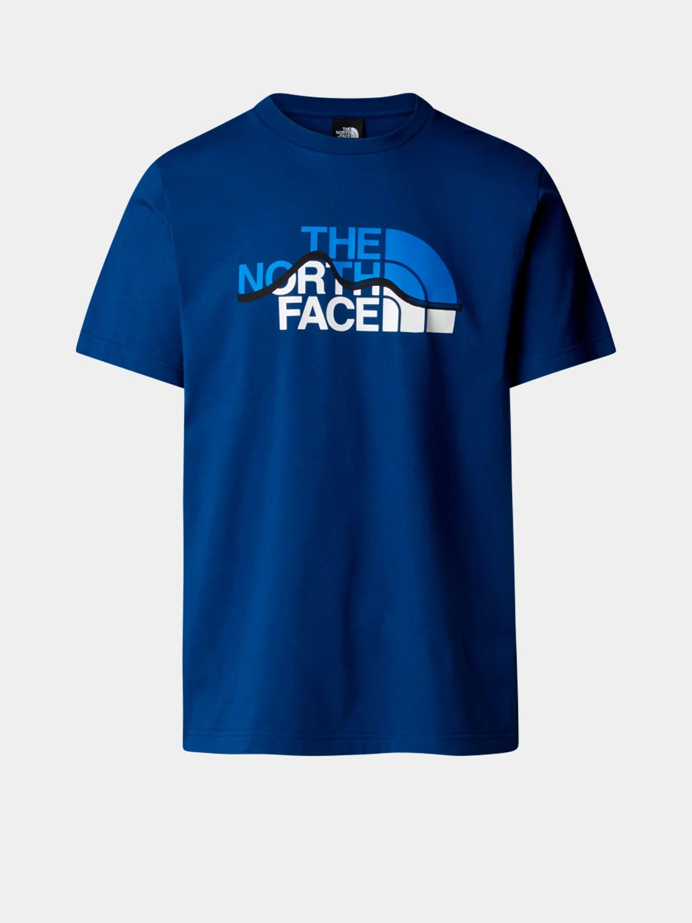 Футболки и поло The North Face модель NF0A87NTD1R1