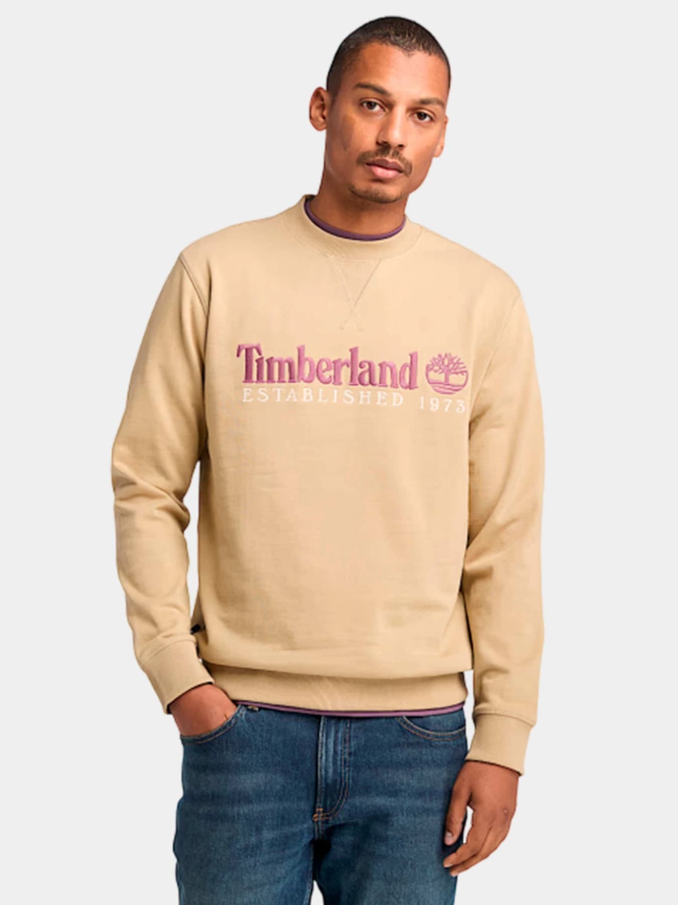 Худи и свитшоты Timberland модель TB0A2FEQDH4