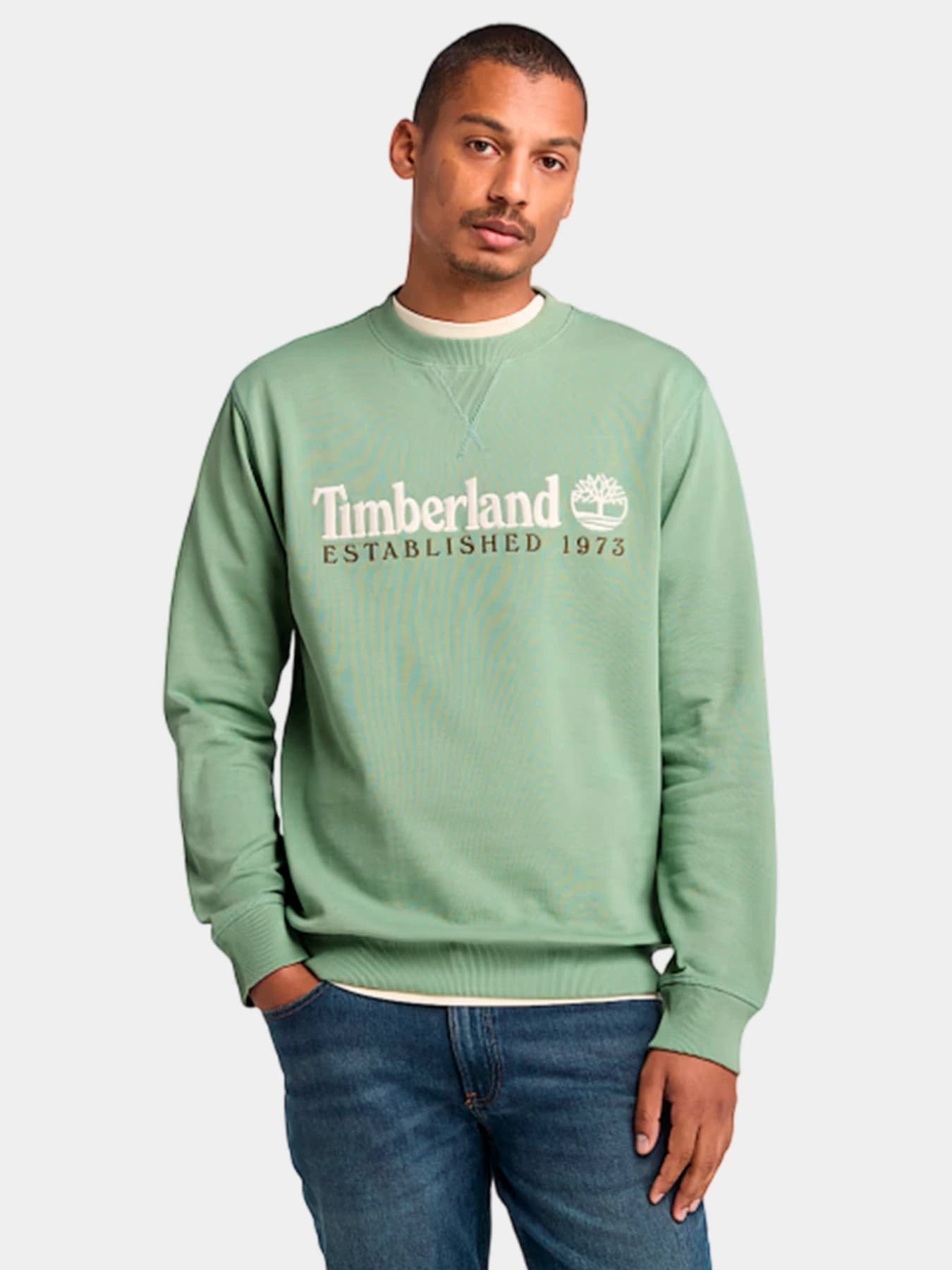 Худи и свитшоты Timberland модель TB0A2FEQEC6