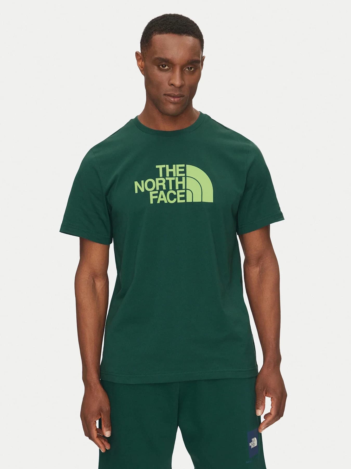Футболки и поло The North Face модель NF0A8A6CA6O1