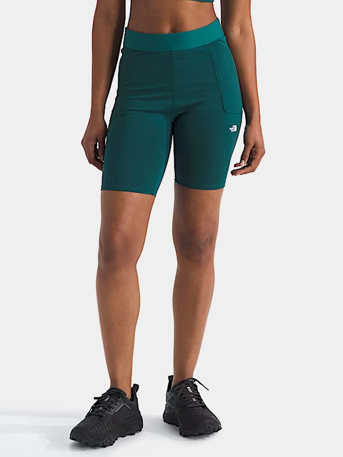 Шорты The North Face модель NF0A8EF76GI1