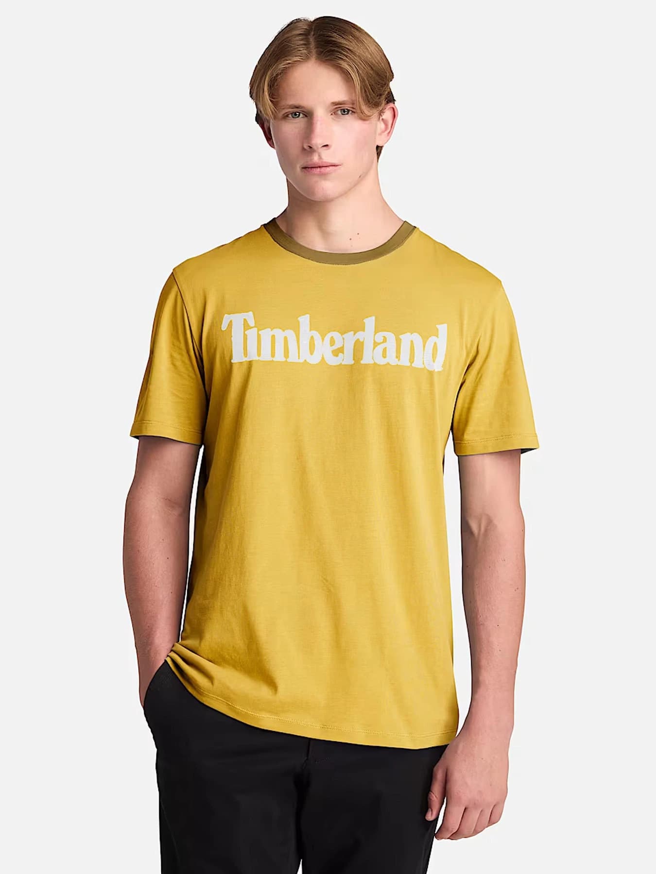 Футболки и поло Timberland модель TB0A2BRNEOB