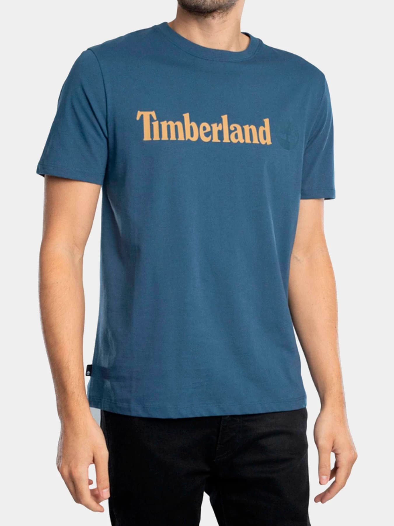 Футболки и поло Timberland модель TB0A5UPQ288