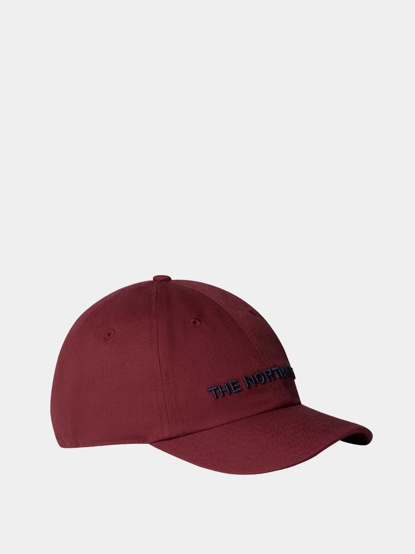 Шапки и кепки The North Face модель NF0A7WHPAYQ1