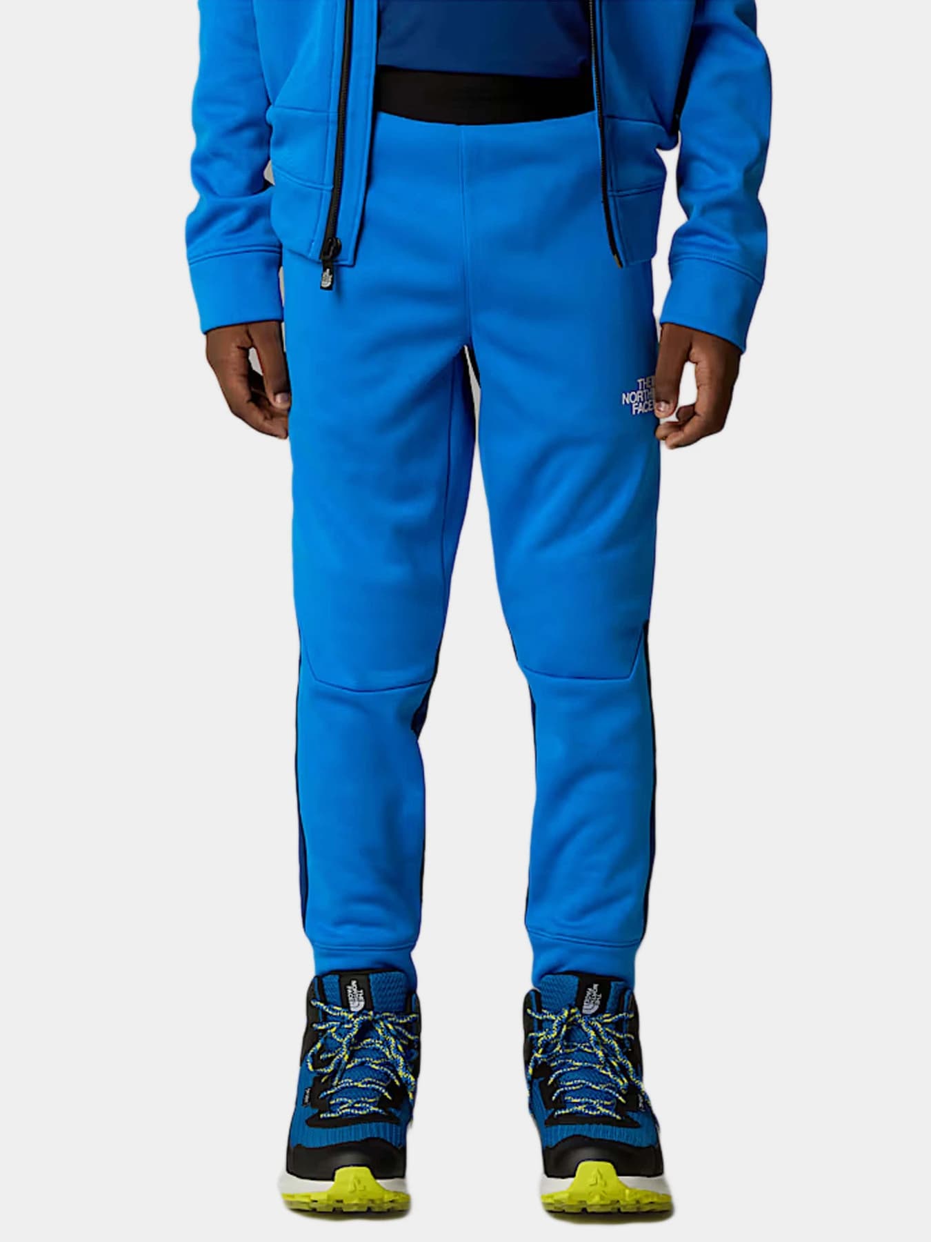 Брюки The North Face модель NF0A89HWT4S1