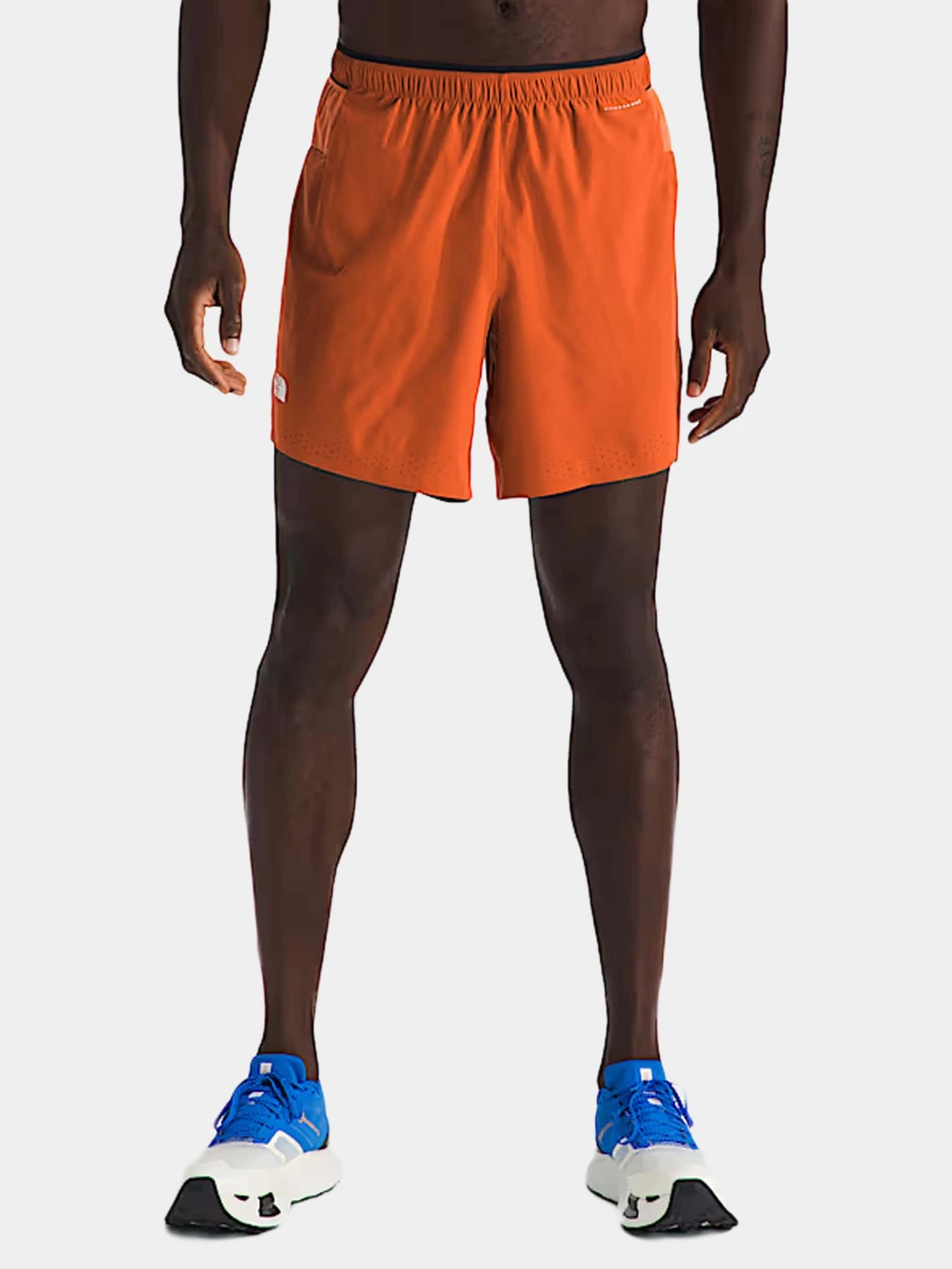Шорты The North Face модель NF0A8BB55N51